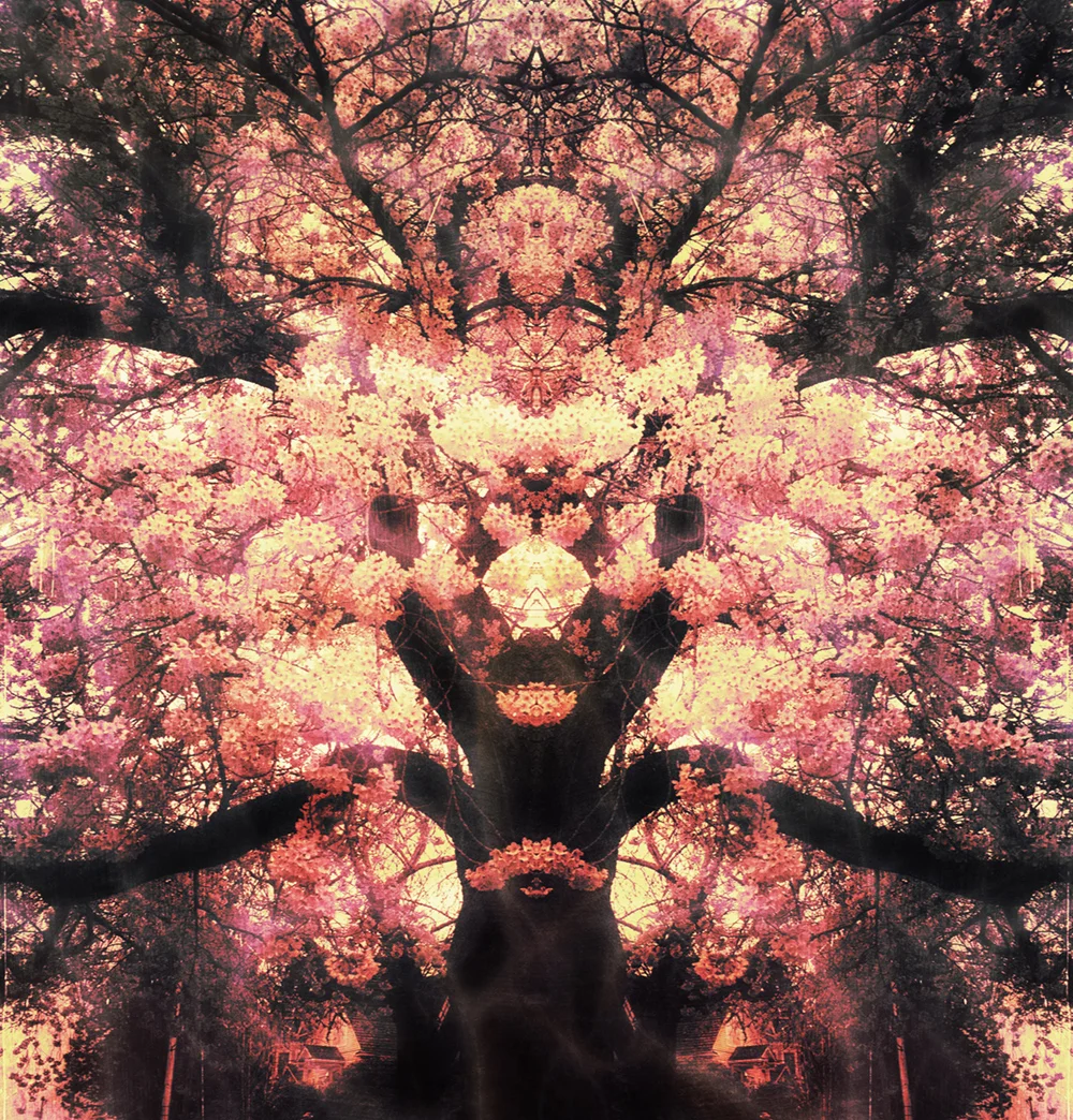 Essence