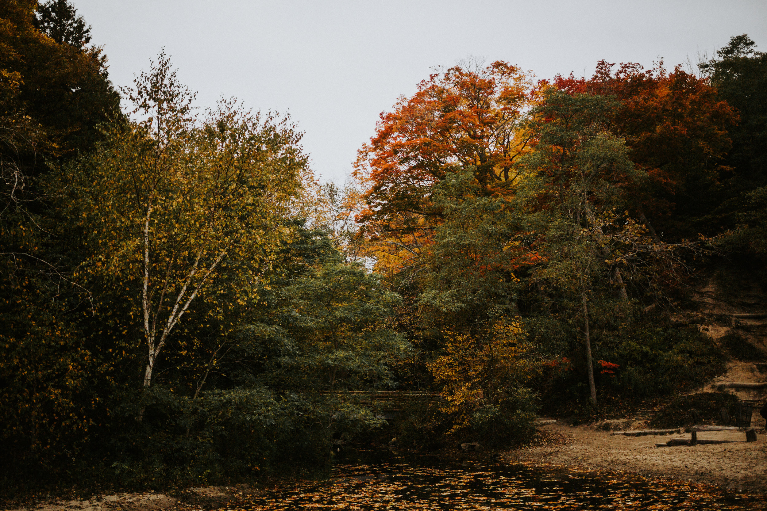 Kata_and_Dan_Milwaukee-Engagement-EDIT-127.jpg