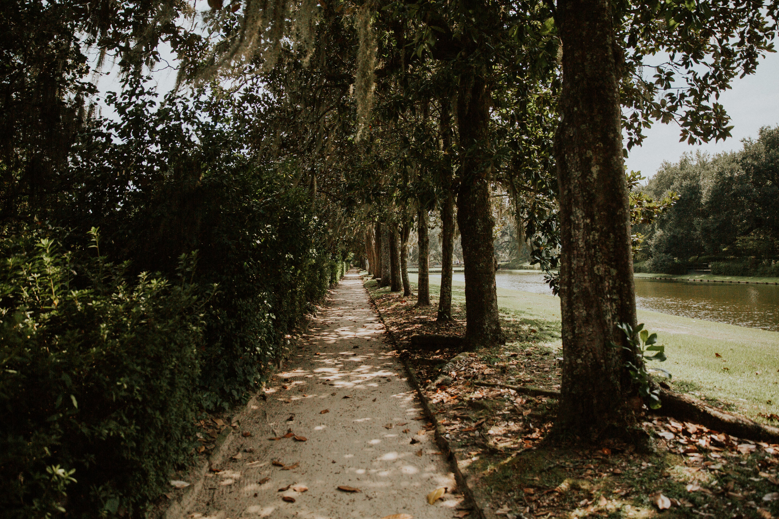 Lauren_and_Zac_Engagement-Charleston-EDIT-3.jpg