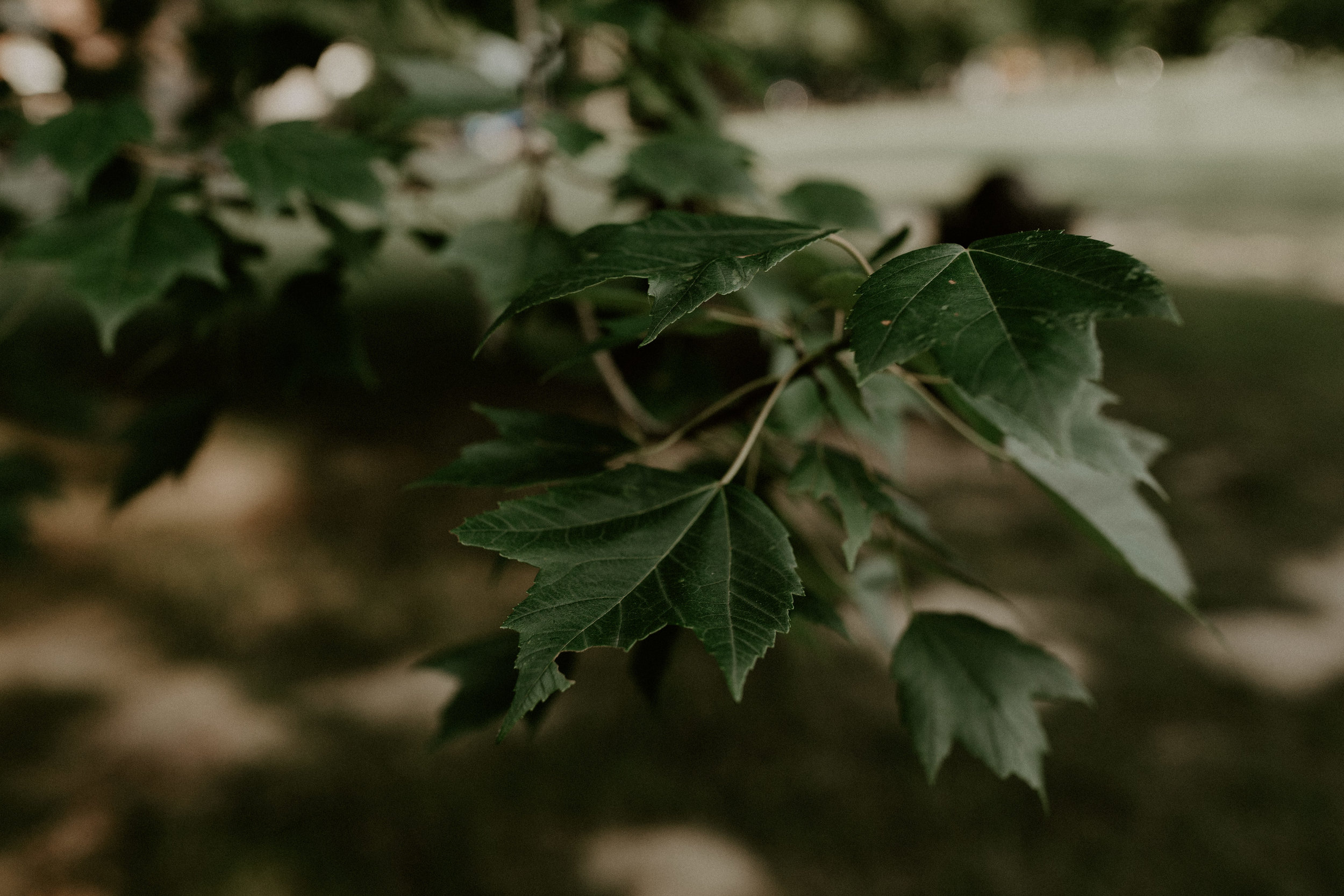 Mariemont_Chapel_Cincinnati_Wedding_Hannah_Nick-EDIT-659.JPG