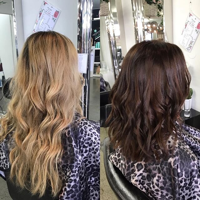 A big change ❣️ @beccaaacole 😻 From long &amp; blonde to a rich warm brown with a nice chop 💃🏼 perfect coming into winter ❄️ #colourchange #thecollectivehairandbeauty