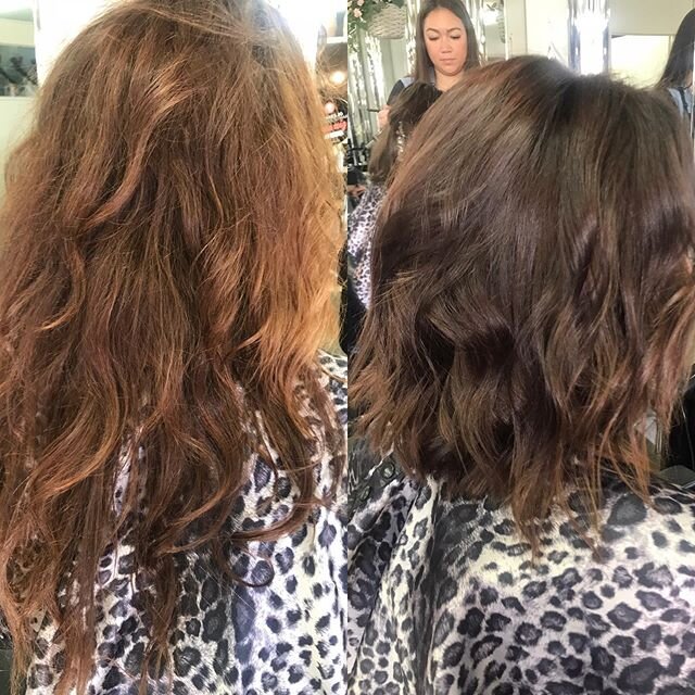 Winter tones on this gorgeous gal 🤍🖤 a rich chocolate 🍫 copper melt gives glossy shine depth and multi tones perfect for the season ❄️☔️🌧 @thecollectivehairandbeauty #winterhair #richchocolate #beautifulcolors