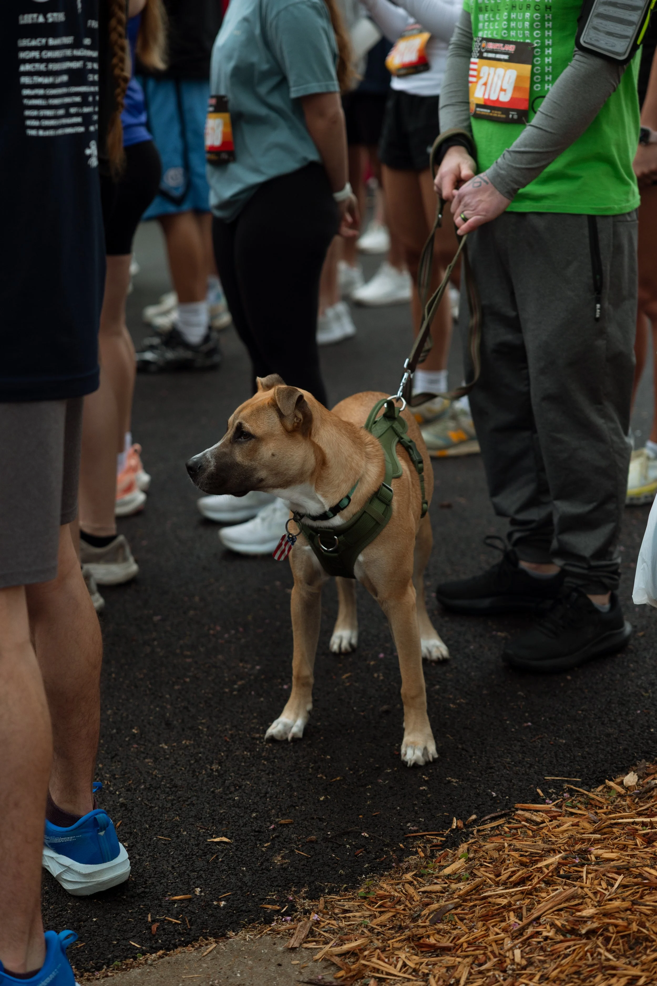 26.04_POHO 5K Event (5).jpg