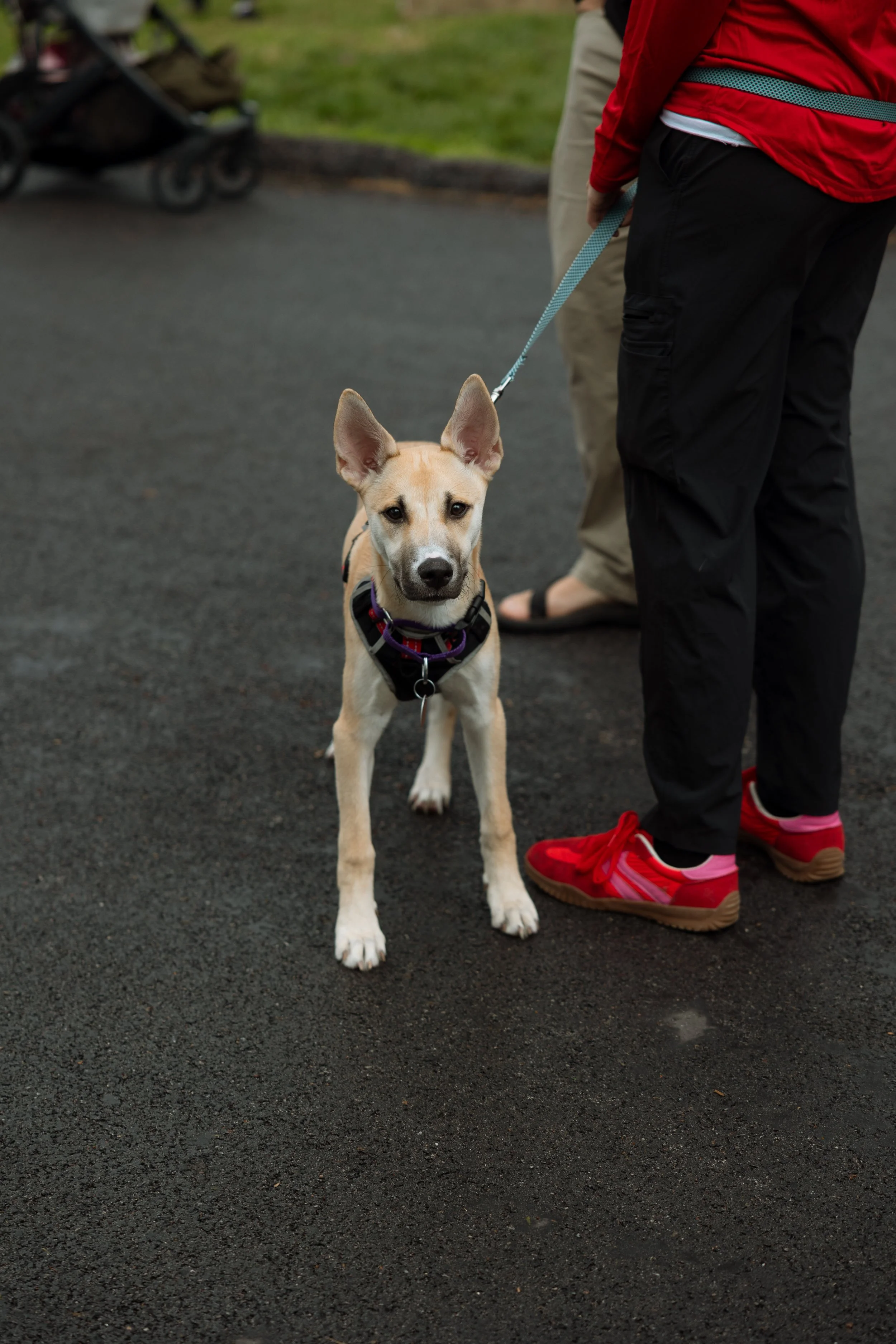 26.04_POHO 5K Event (67).jpg