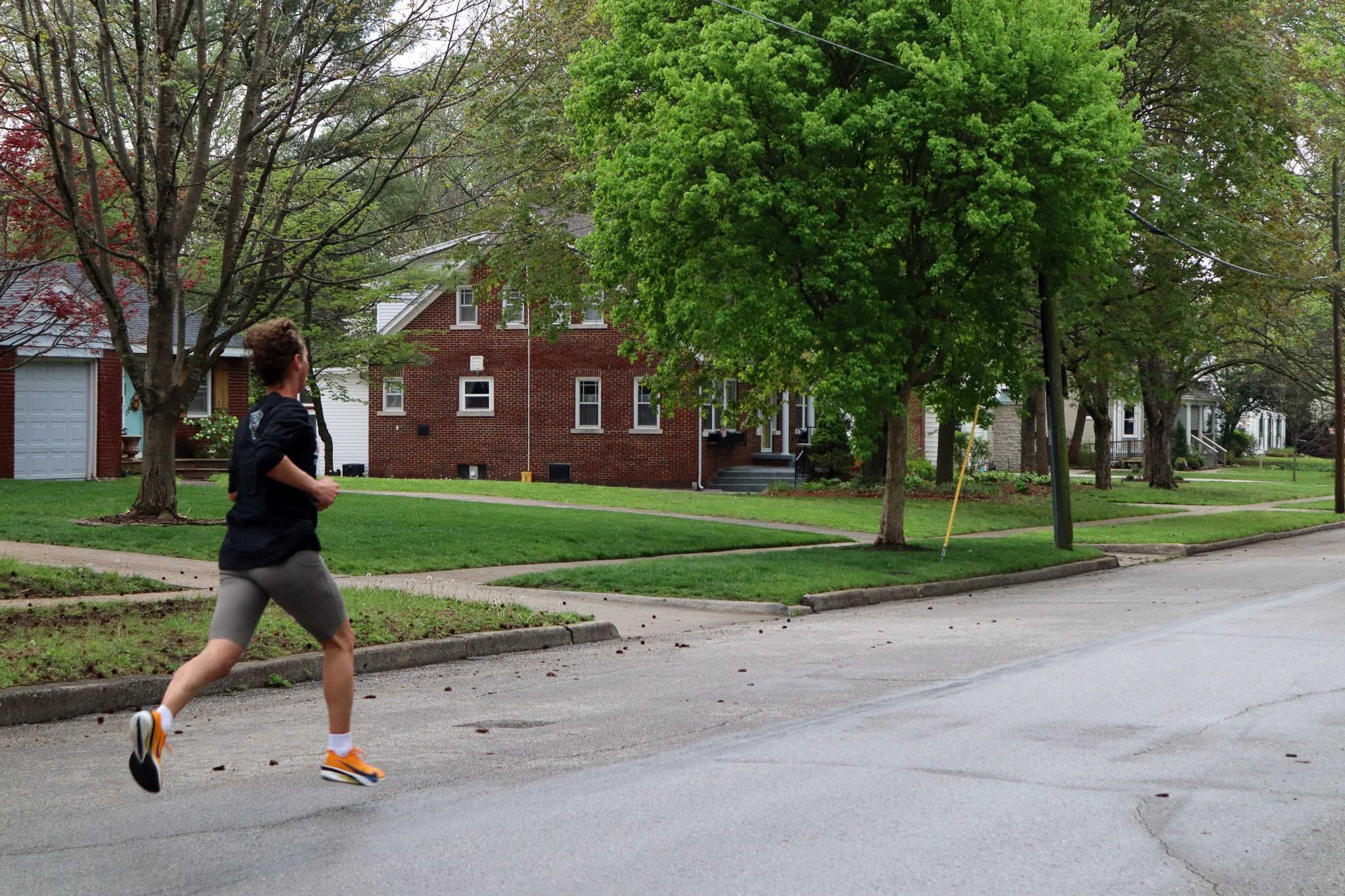 26.04_POHO 5K Event (486).jpg
