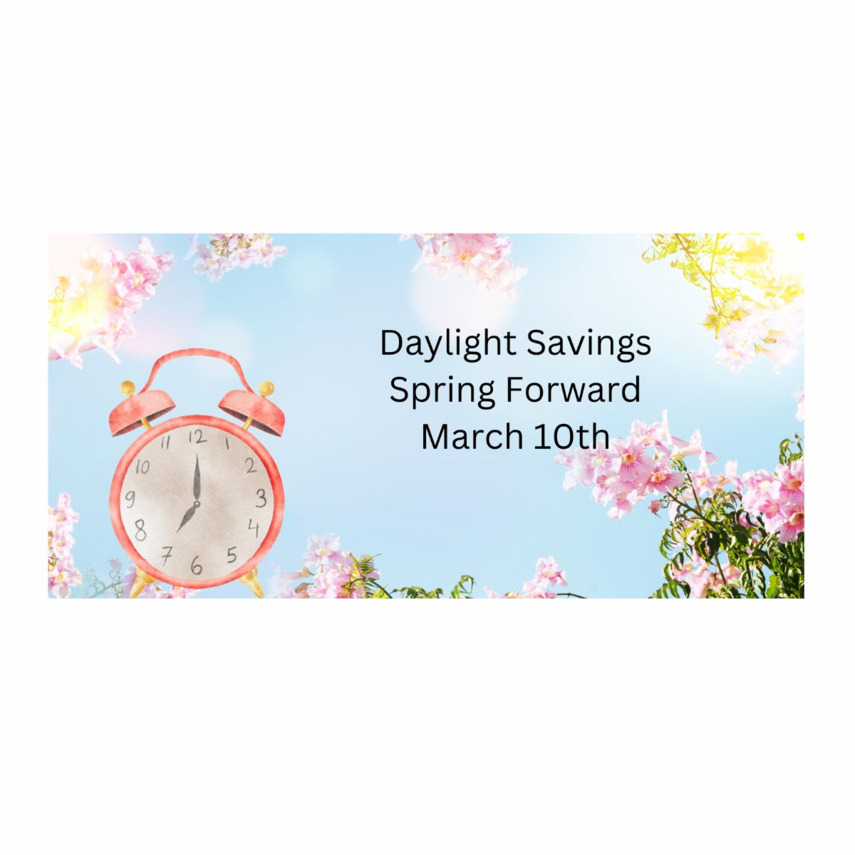 DAYLIGHT SAVINGS TIME