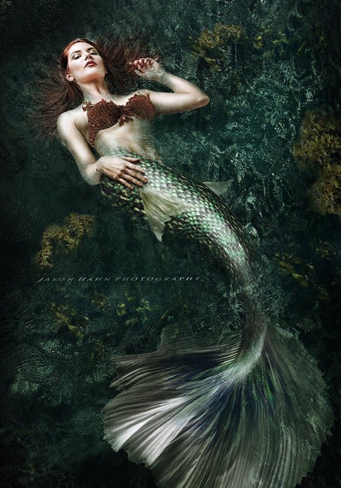 Sea Siren