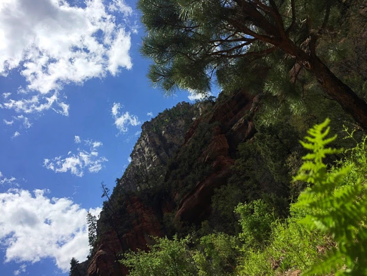 Looking up at the canyon walls towering above, providing shade. 