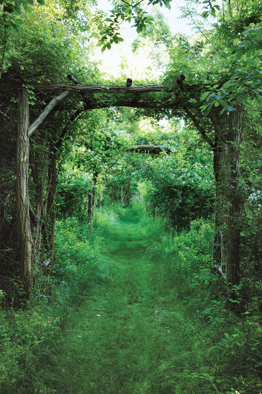 Francis E. Lester roses on rustic trellises flanking a path that meanders between the old and new house. Credit Ricardo Labougle New York Times