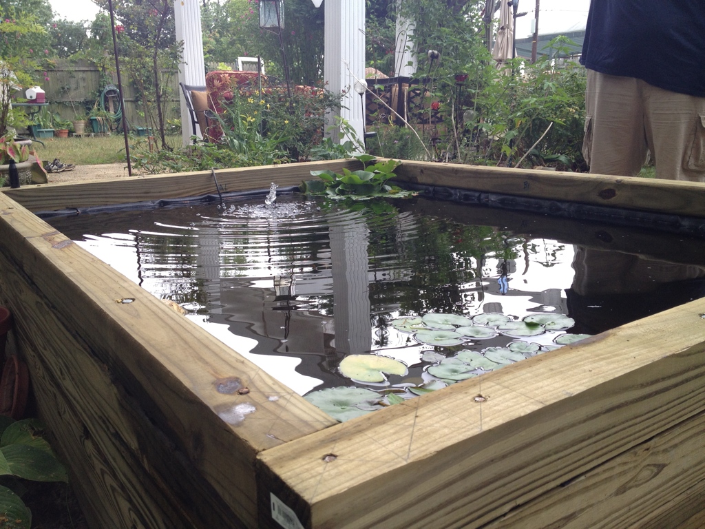 We completed the frame except for the top 4x4s. I drill the 4x4s then secure them with a series of re-bars. We then installed the pond liner which is a thick flexible material that can conform to almost any shape. Some folks install sand first to protect the liner from sharp rocks. Lay the liner as flat as possible and force against the sides of the frame. Allow the access material to flop over the sides of the frame. Start filling the frame with water which will help the liner take the shape of the frame. After the pond is full, pull the line tight and install the top row of 4x4s. Once they are secured in place, trim the excess liner material