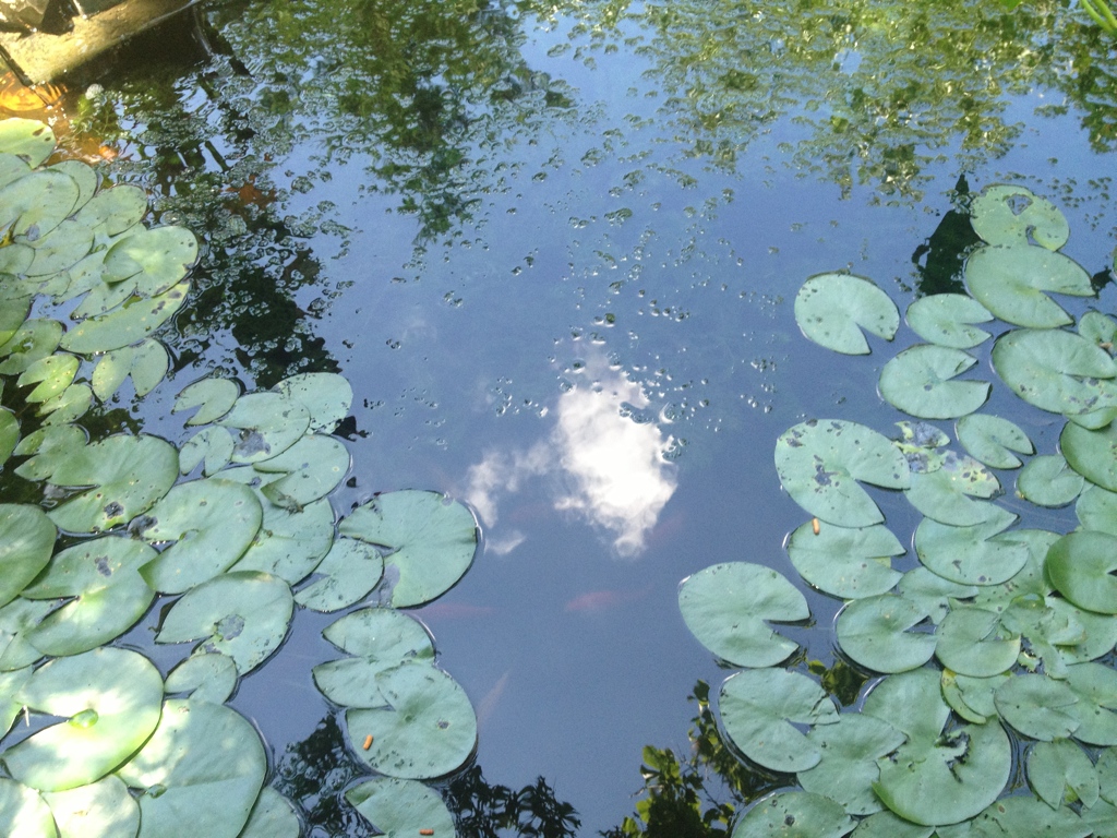 Sky and Water