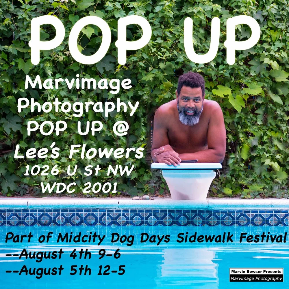 Dog+Days+Pop+Up+Flyer+DSC_0624_edited-2.jpg