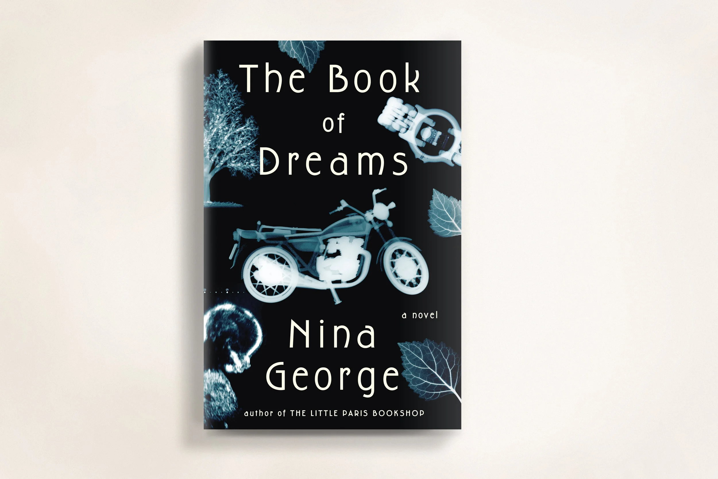 Book_of_Dreams_1.jpg