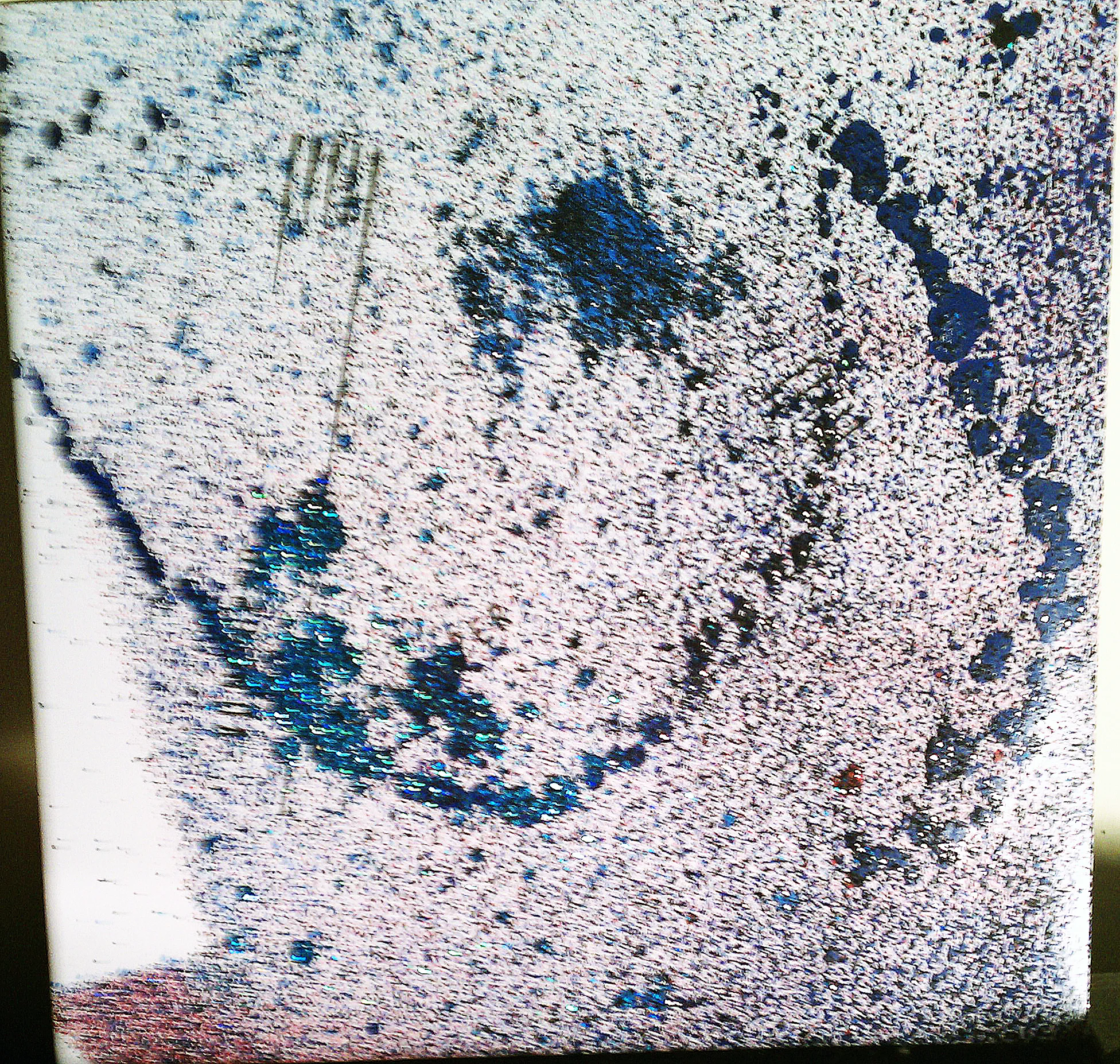 IMAG0554edit.jpg