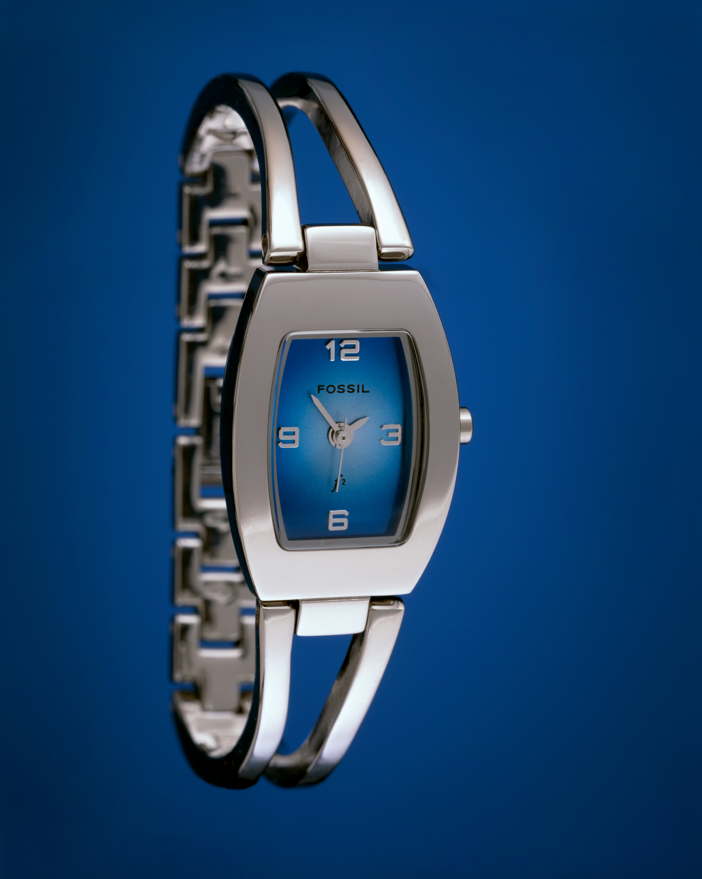 fossilwatch2.jpg