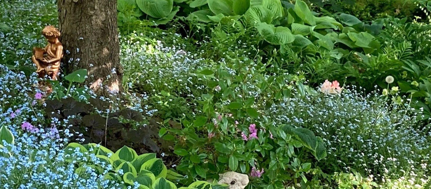 front%2Bgarden.jpg