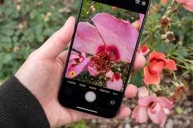 iPhone Flower Photography 