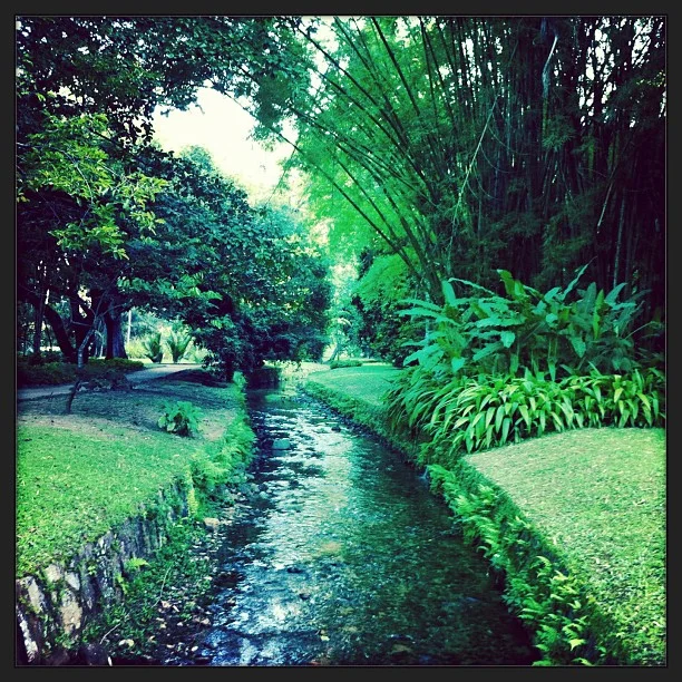 Botanical Gardens 
