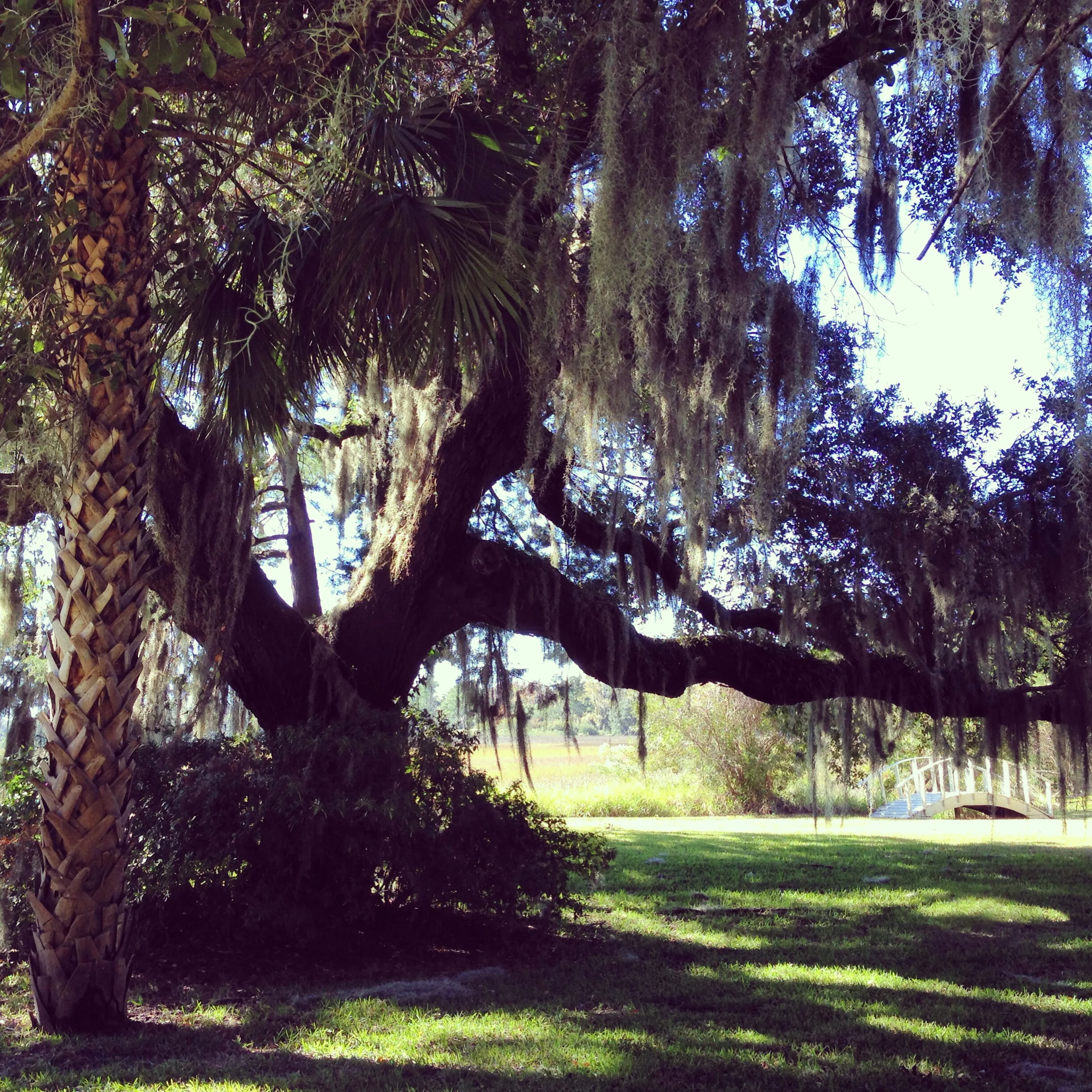 My Actual Green South - Where I've Always Gone Home 