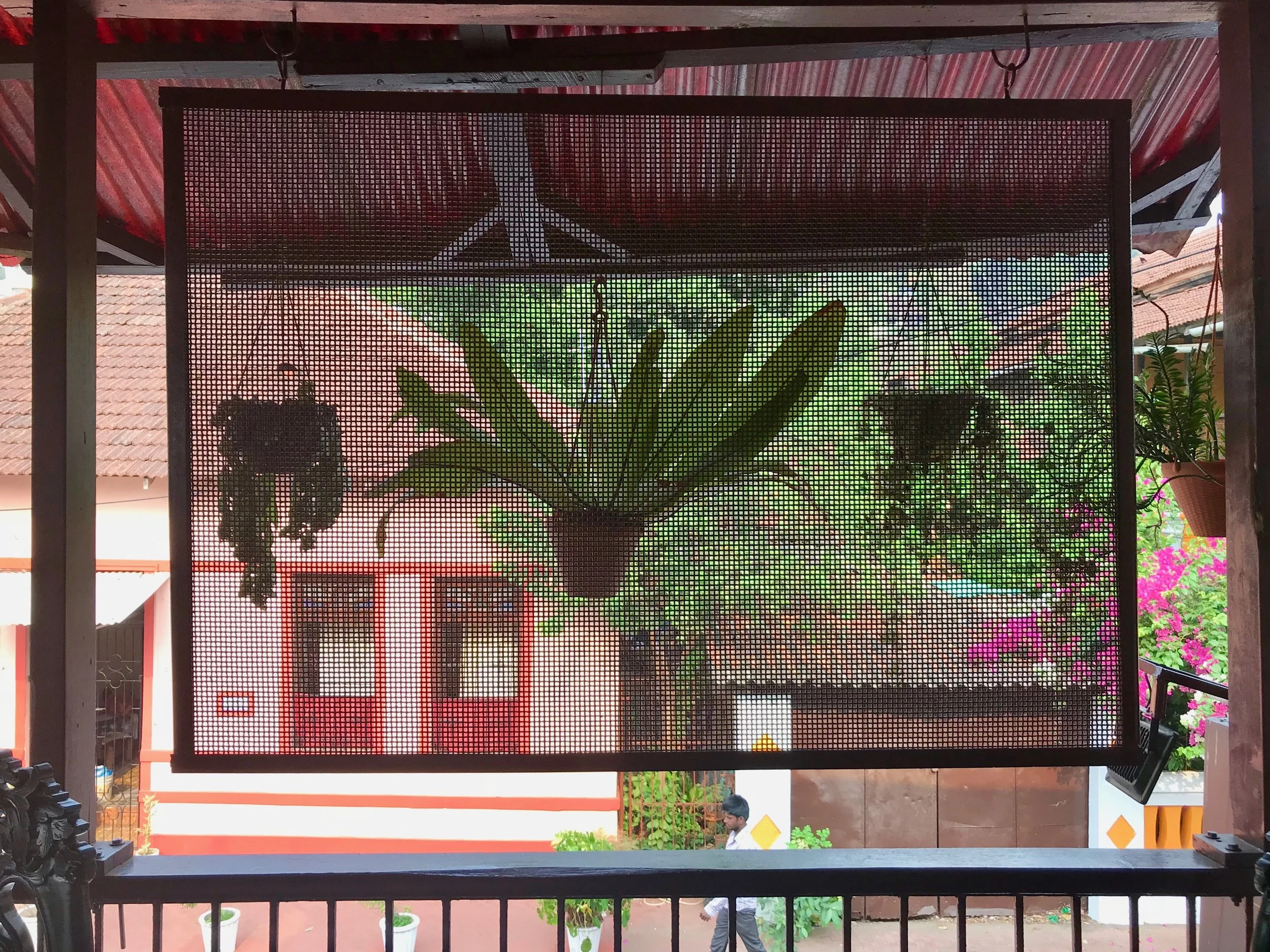 View on the Veranda