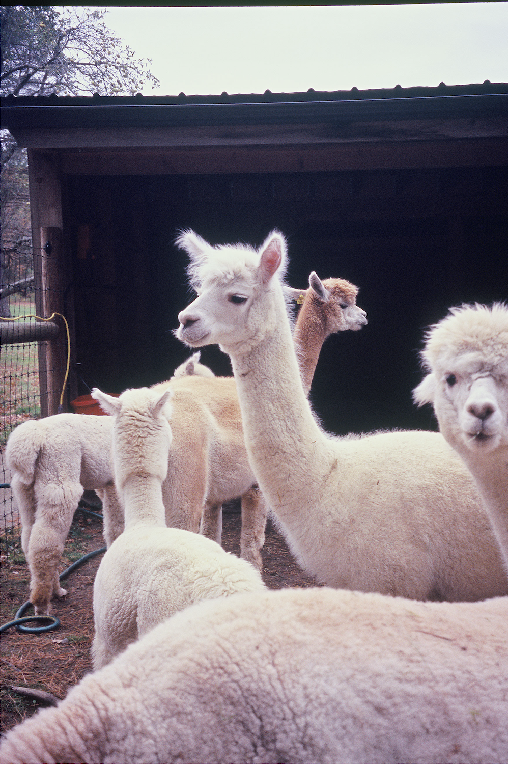 Screen Shot 2020-06-24 at 10.49.36 PM.png