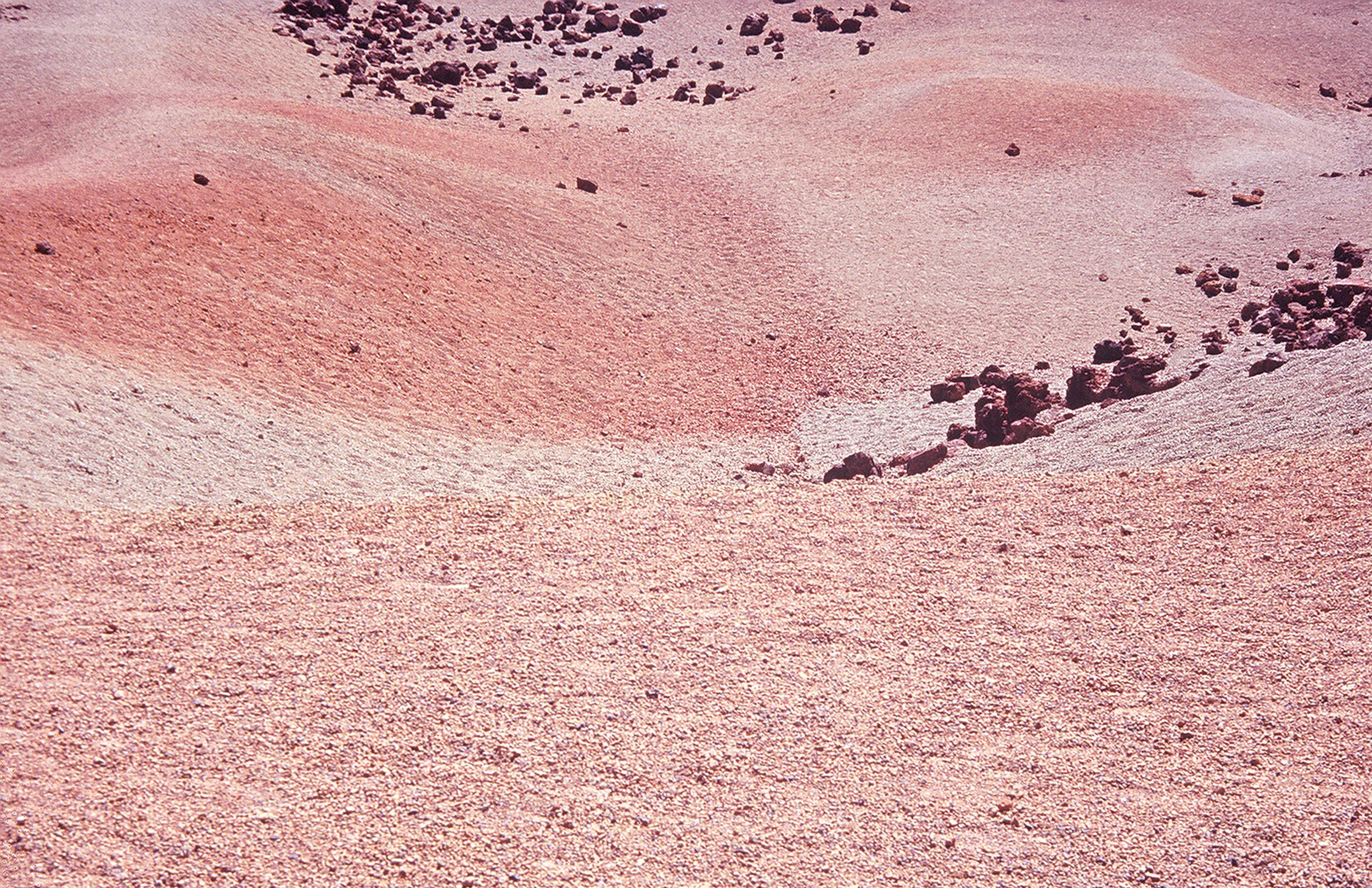 kims577_05.jpg