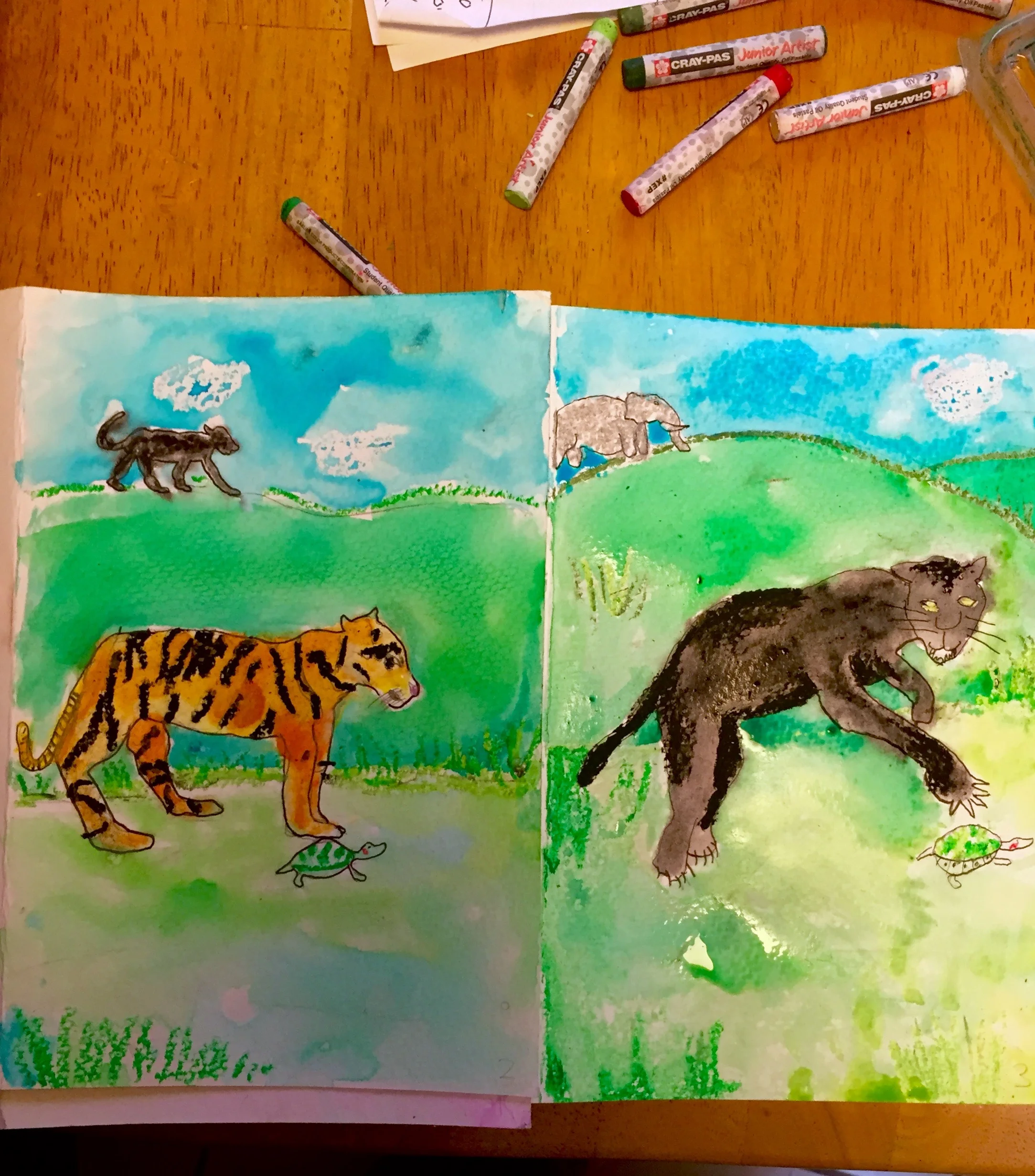 Student Work: Animal Book