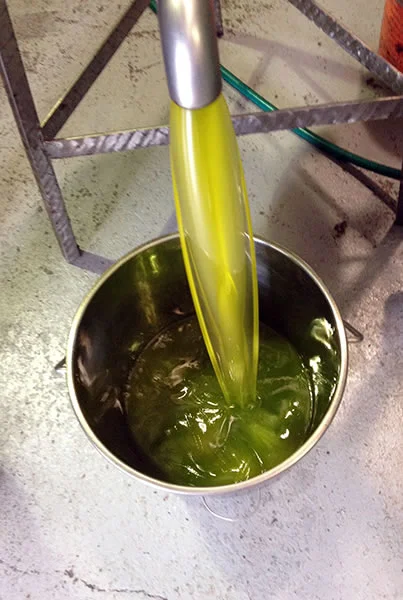 no-29-frontpage3-oil-pour.jpg