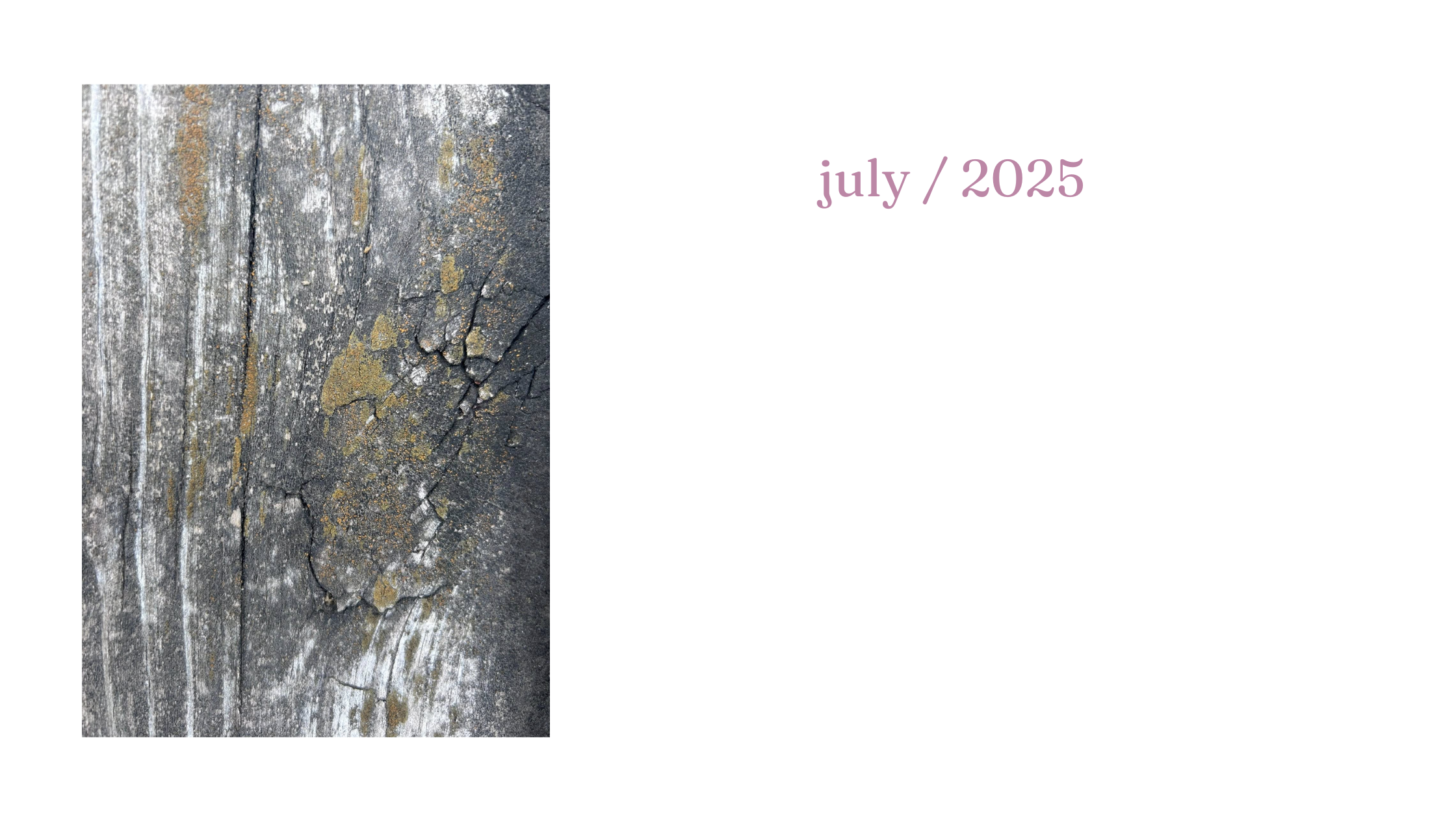 Blog Banner for Website Content (2).png