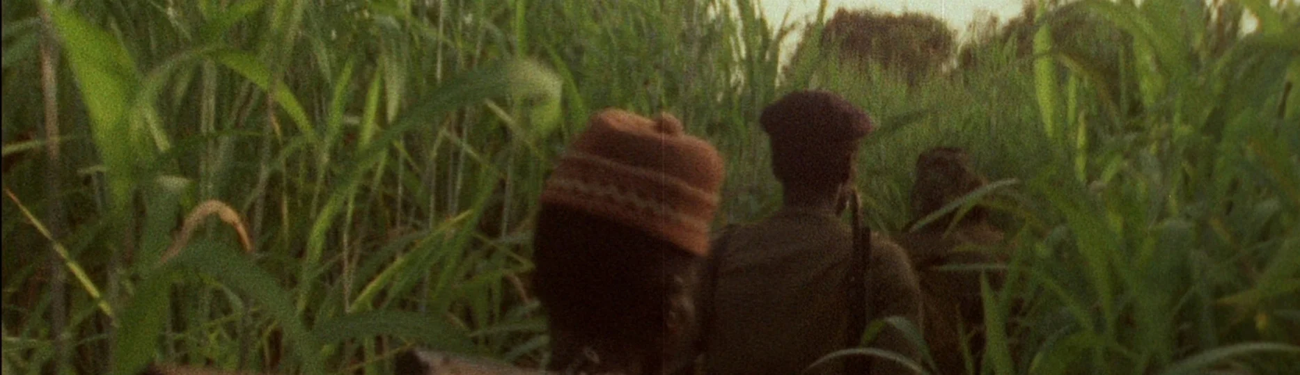 home_01_Concerning_Violence_banner.jpg