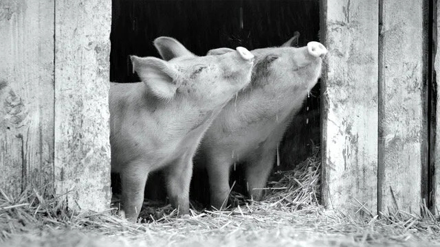 image003.jpg