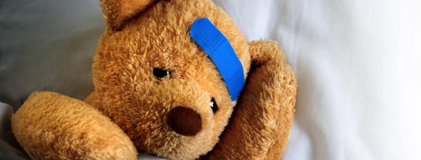 Teddy 3.jpeg