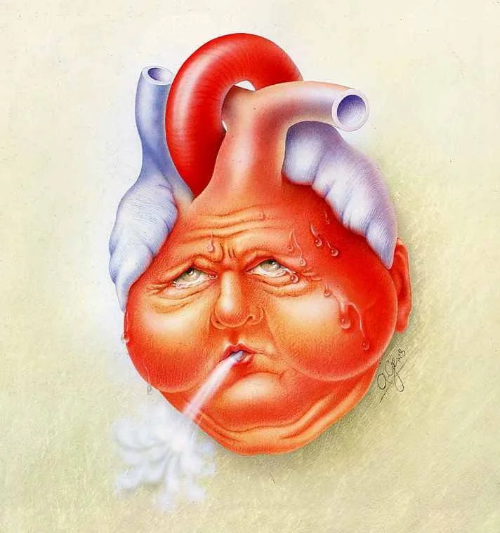 Figure 1: Borrowed from https://www.pinterest.com/krazeniq/diastolic-dysfunction/?lp=true