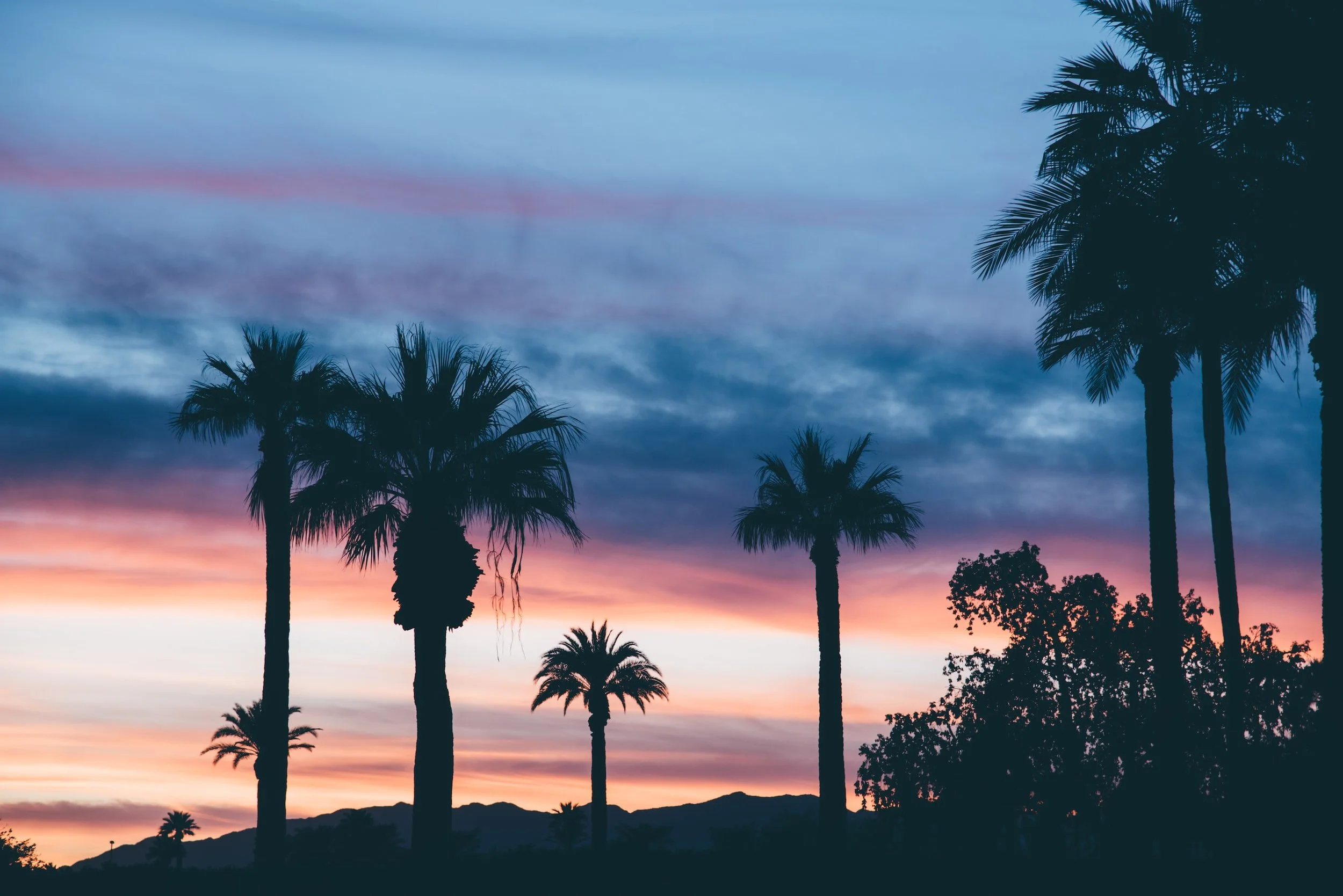 Tales from LBJ Tropical Medical Center: A Child with Fever and Chest Pain