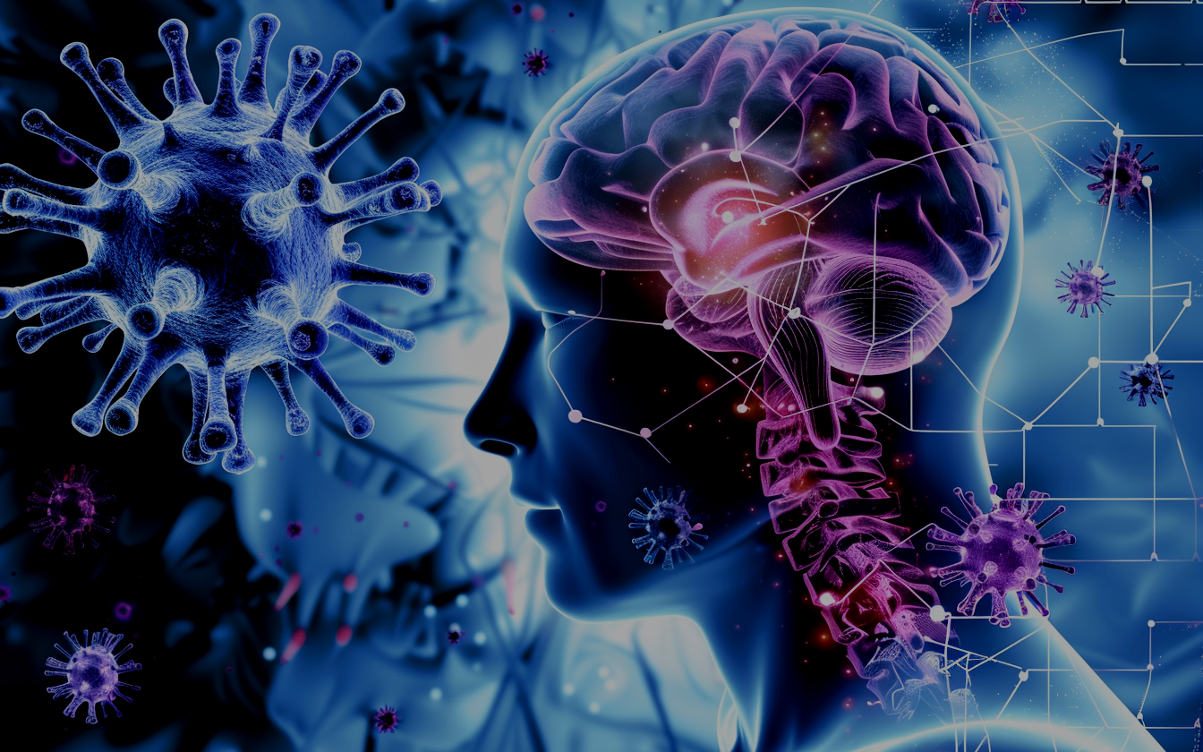 Herpes Encephalitis.png