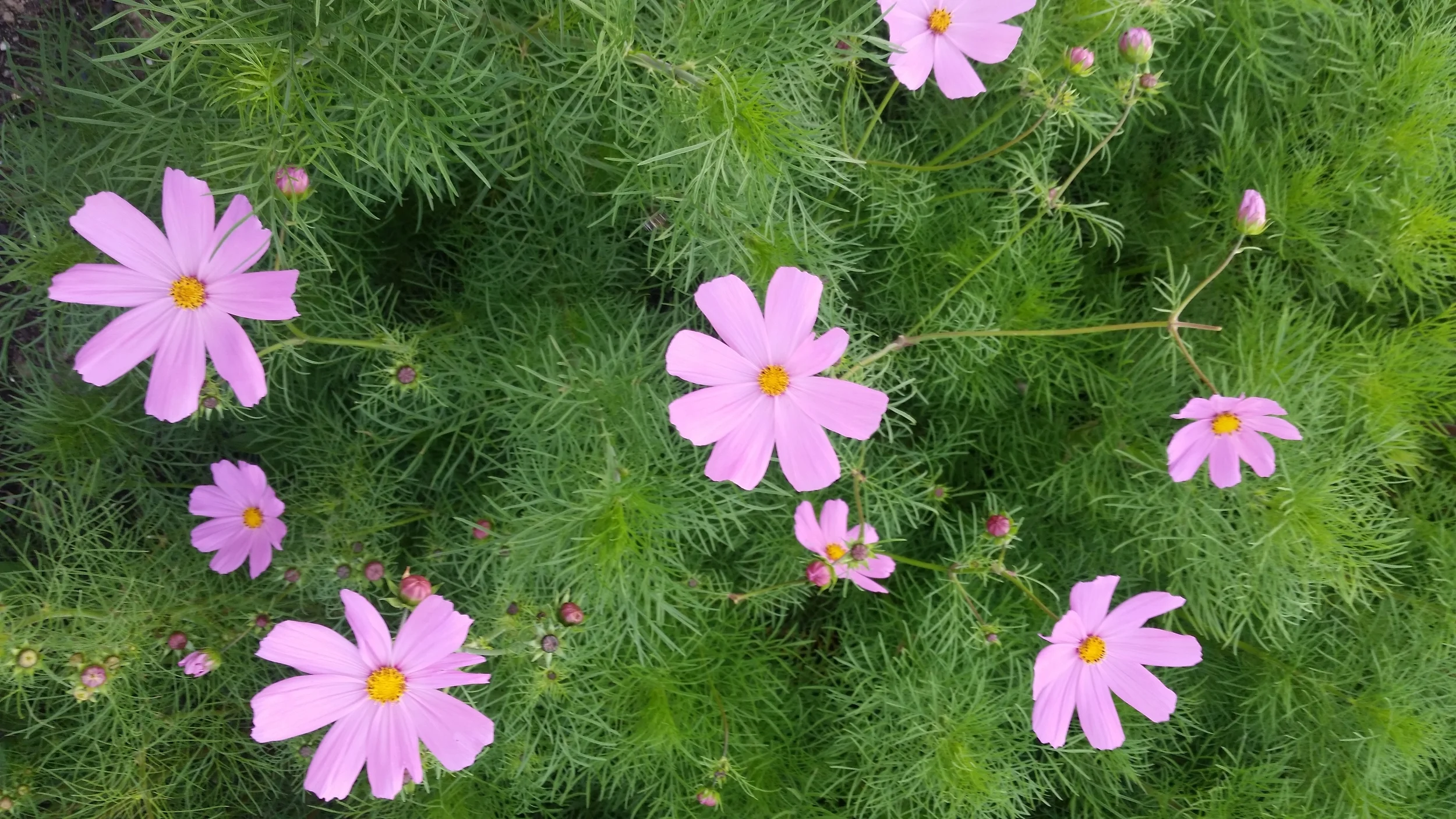 20150918_185405.jpg