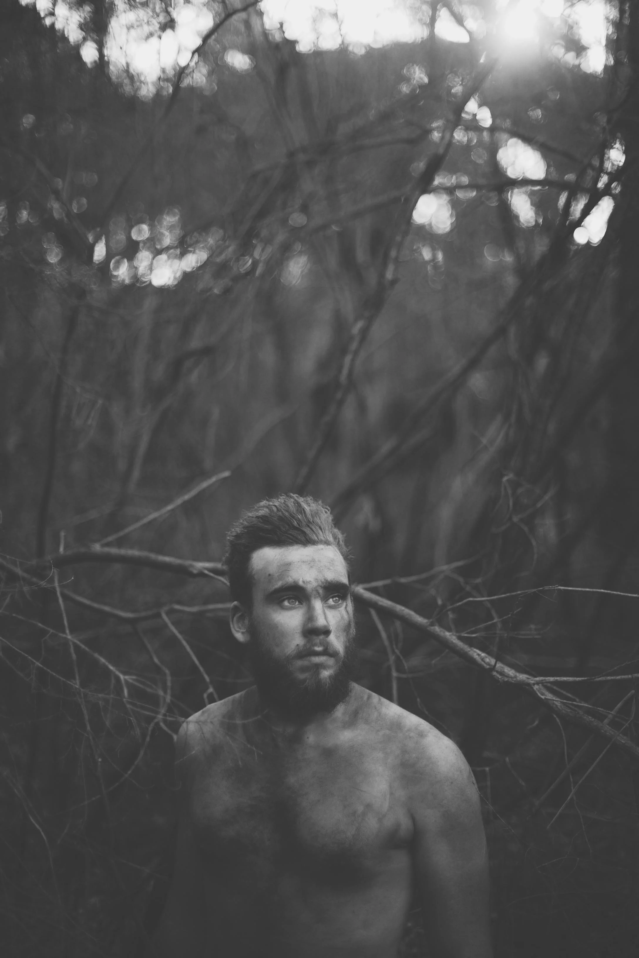 man standing in forest in golden light