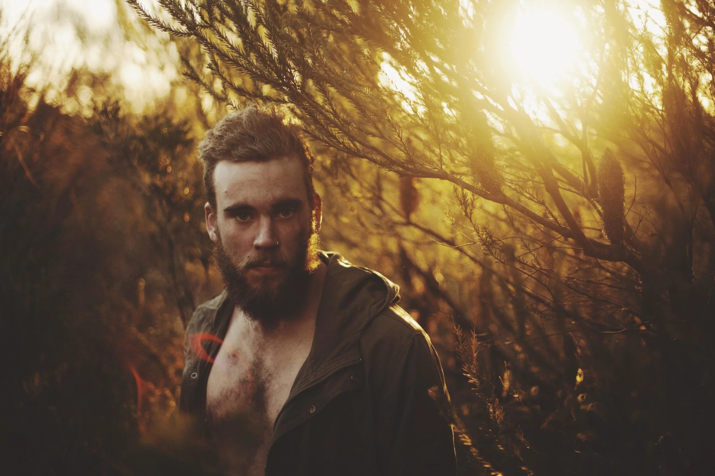man standing in forest in golden light
