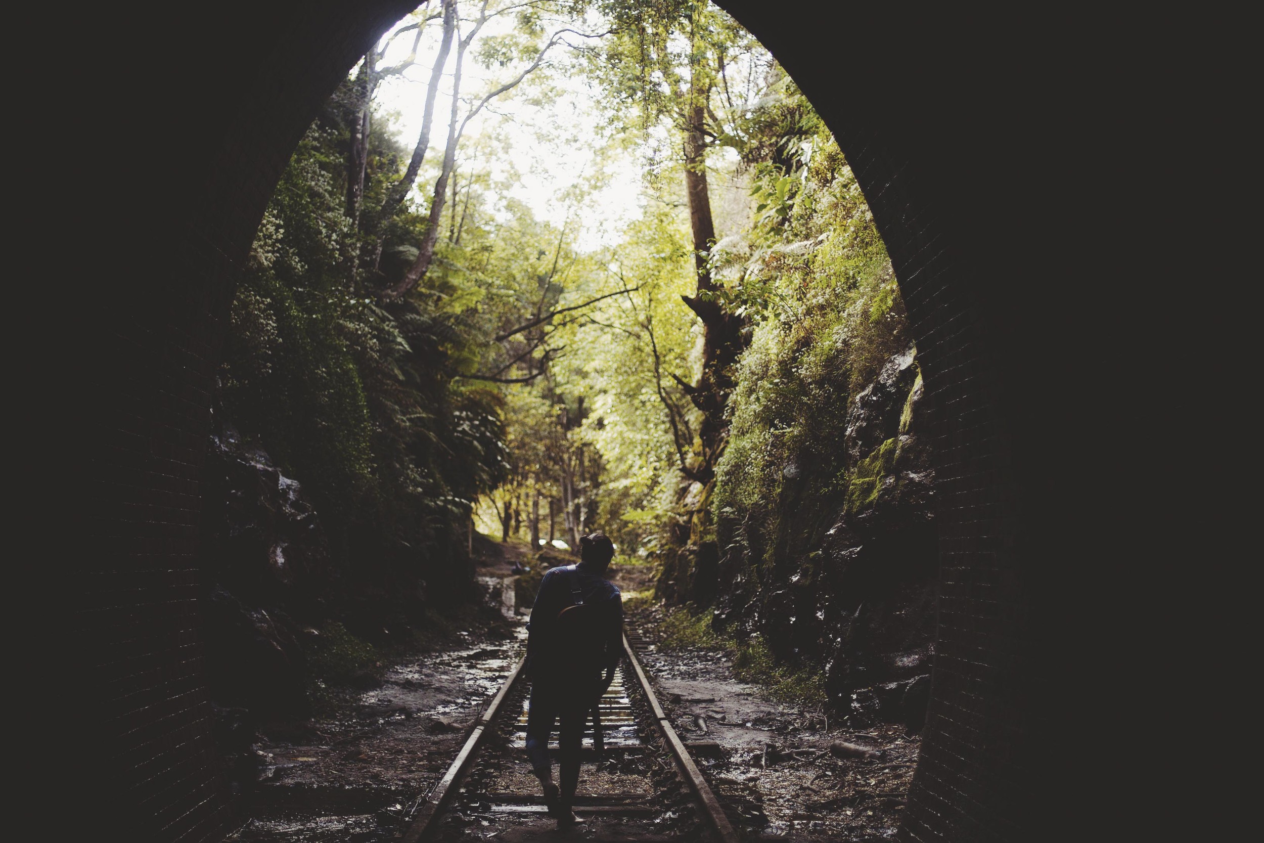 man standing in rainforest with guitar