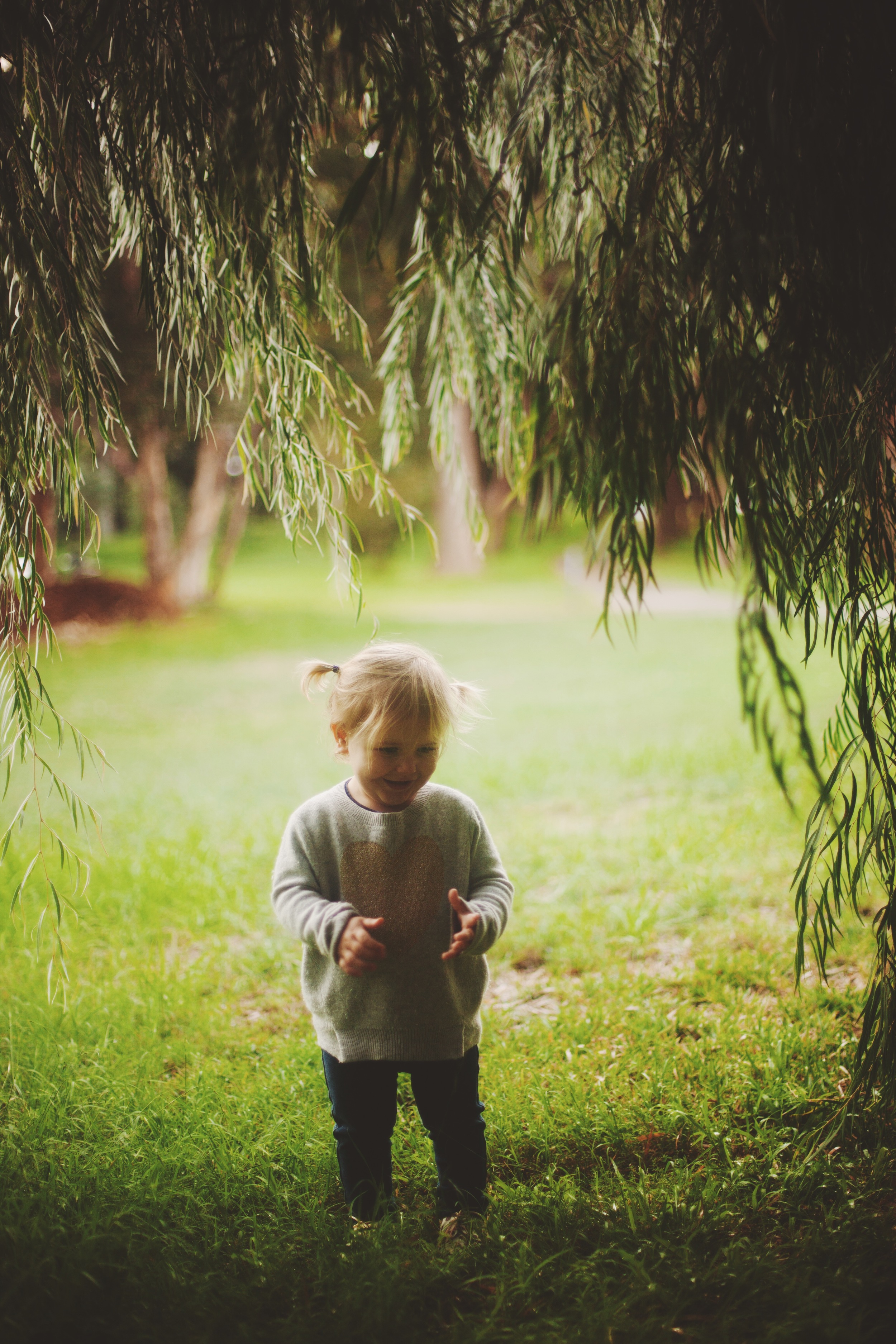 National Park family photography session