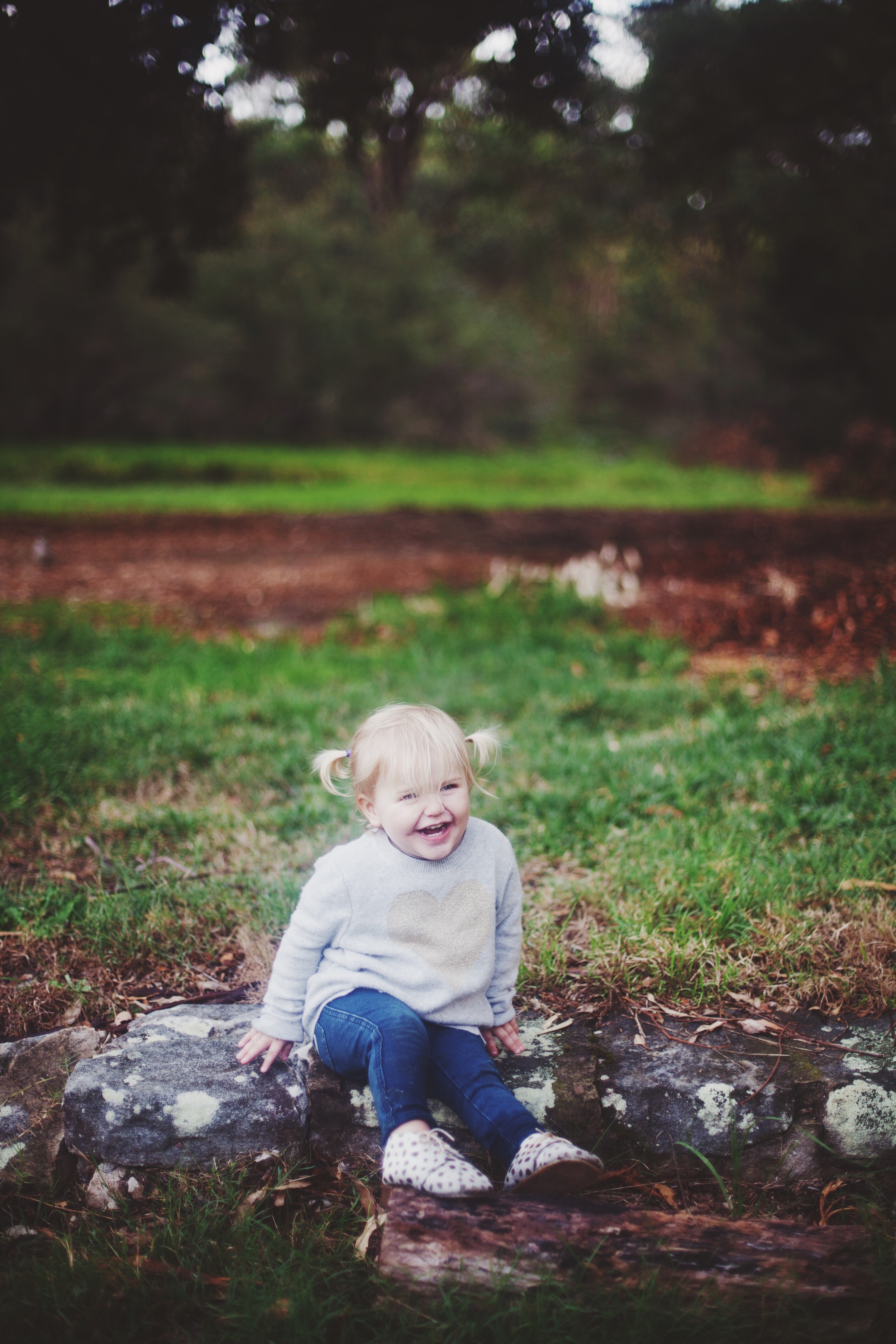 National Park family photography session