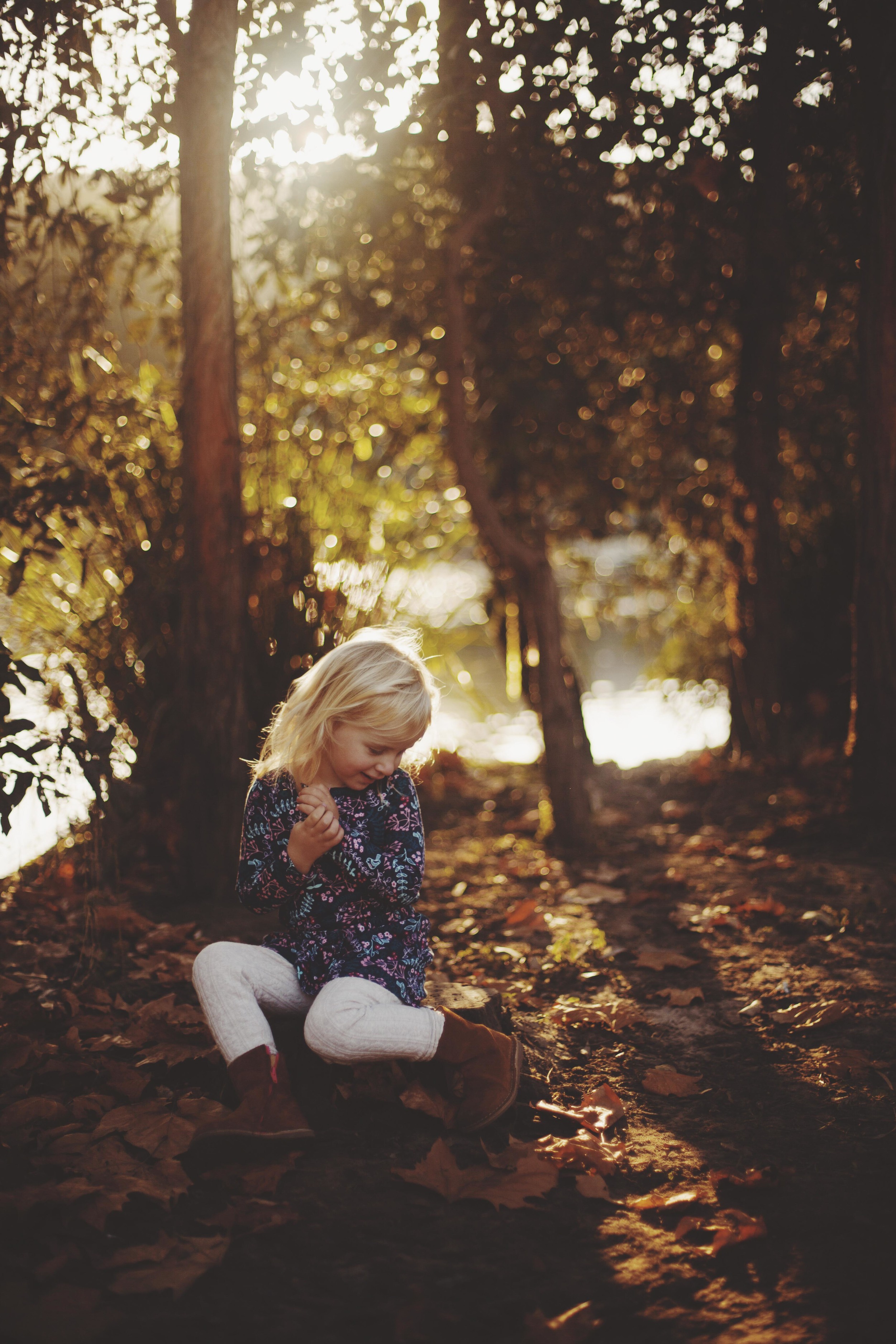 young girl sitting amongst the autumn leaves