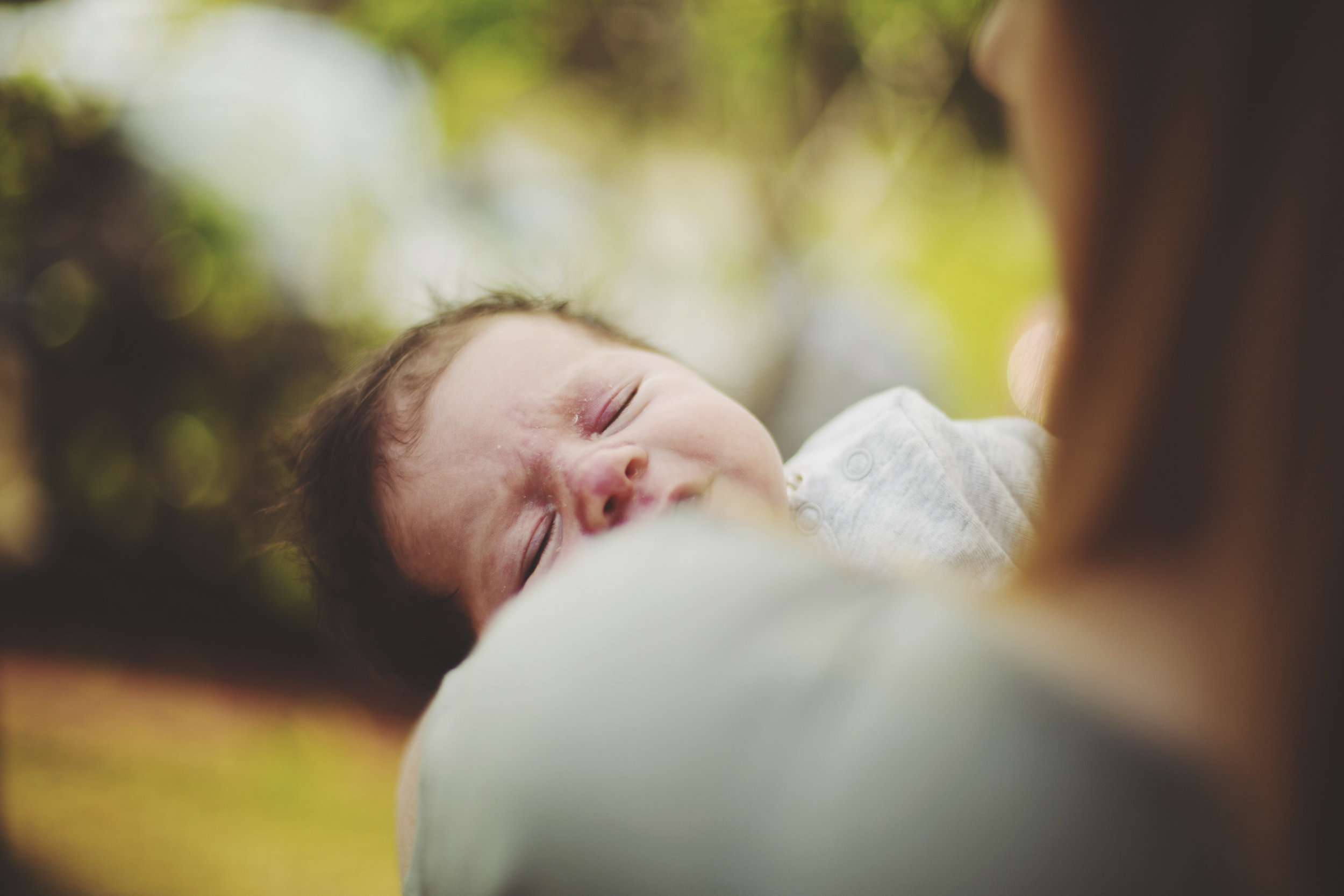 Sydney newborn photo shoot