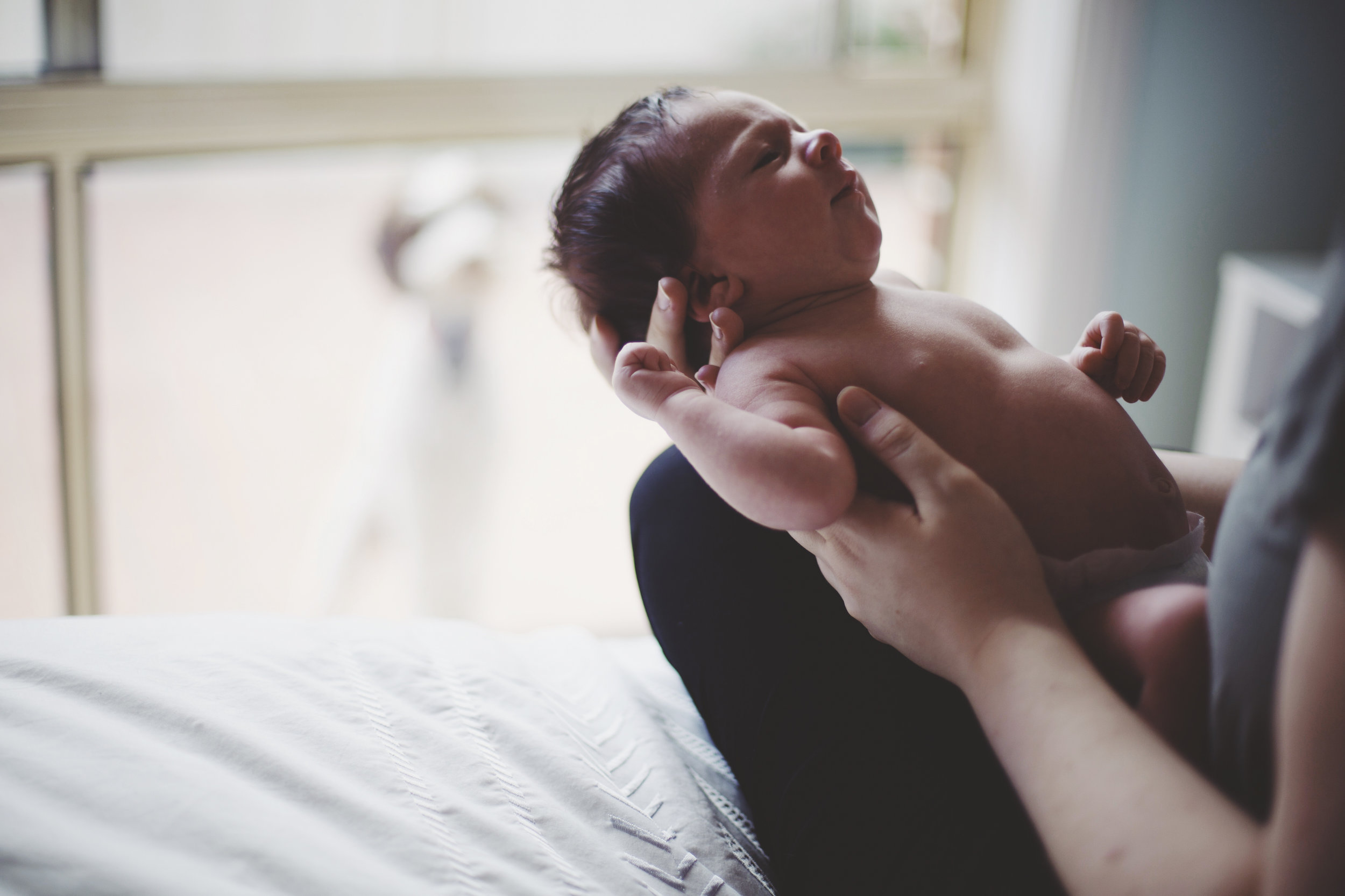 Sydney newborn photo shoot