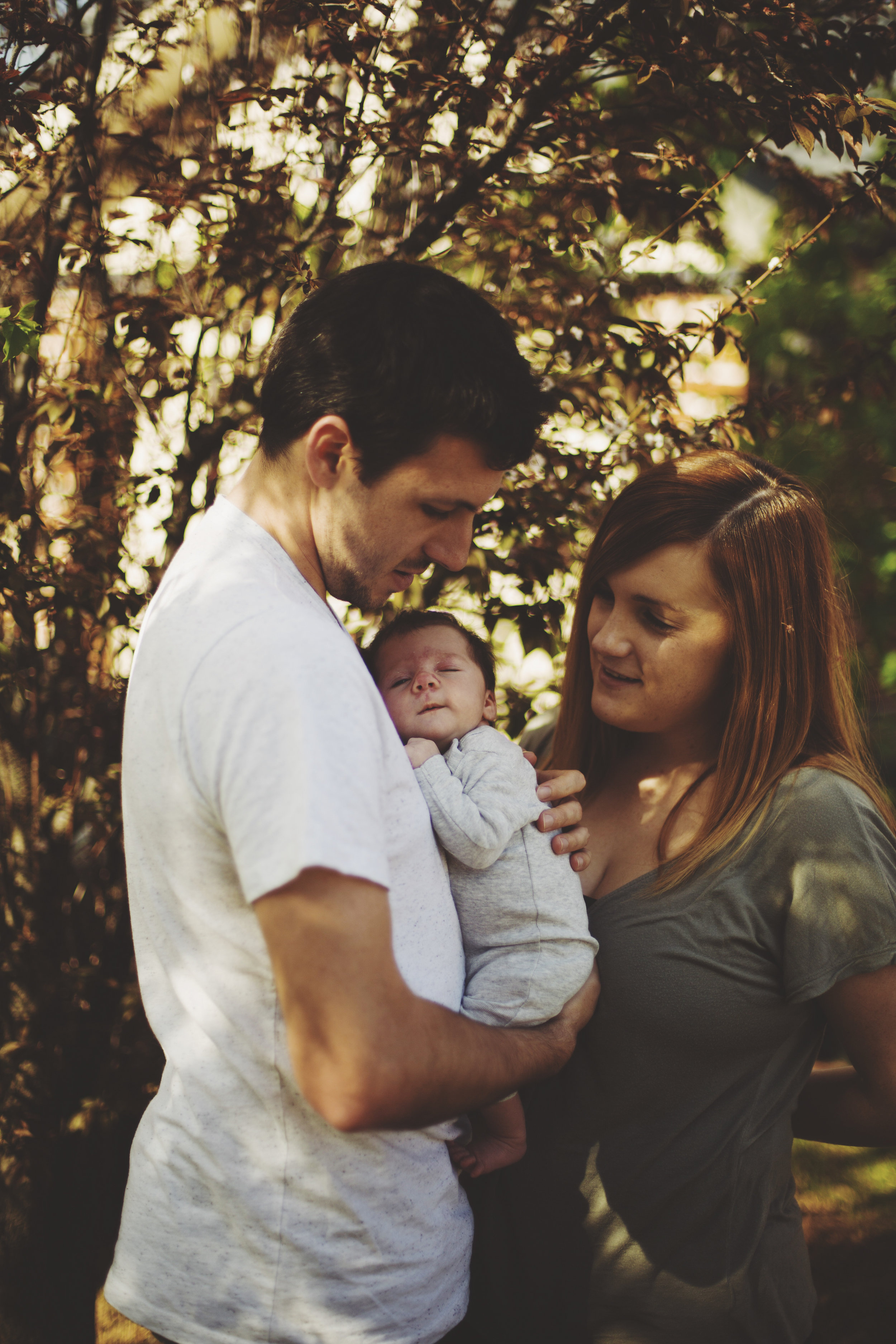 Sydney newborn photo shoot