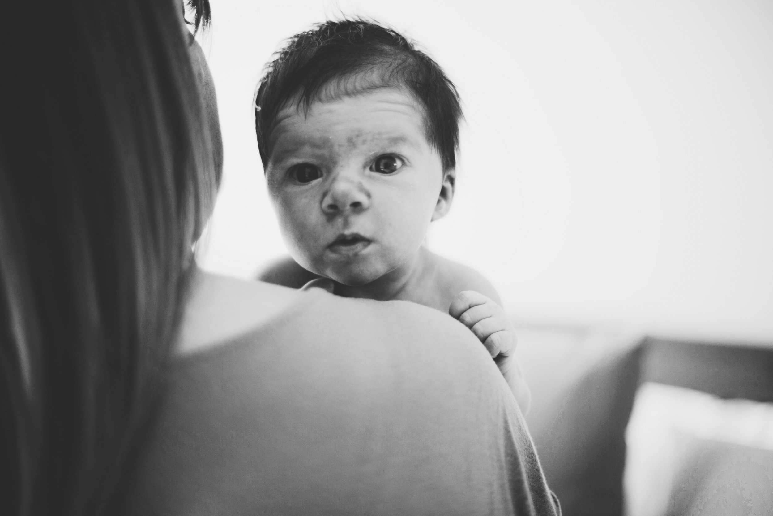 Sydney newborn photo shoot