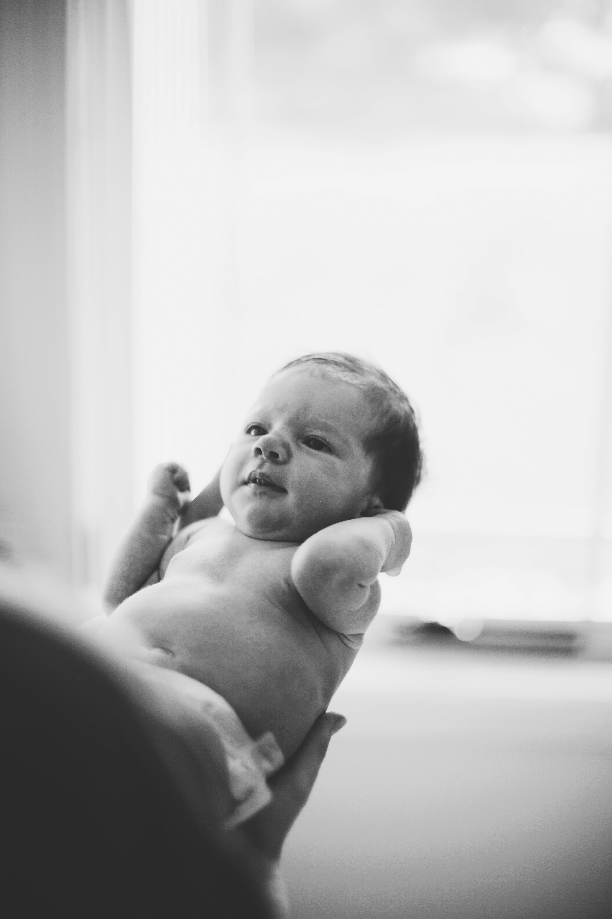 Sydney newborn photo shoot