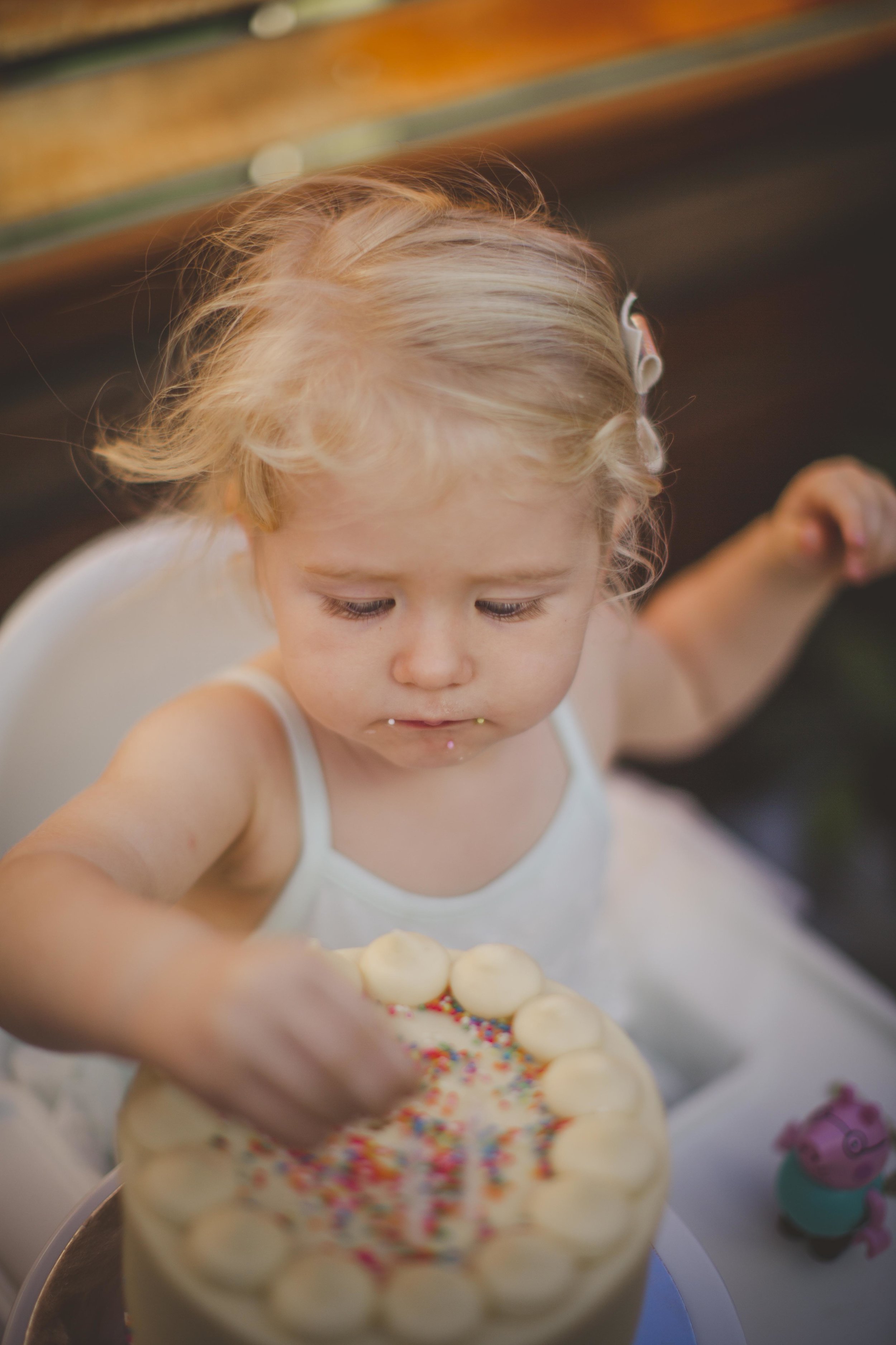 2nd birthday party portraits