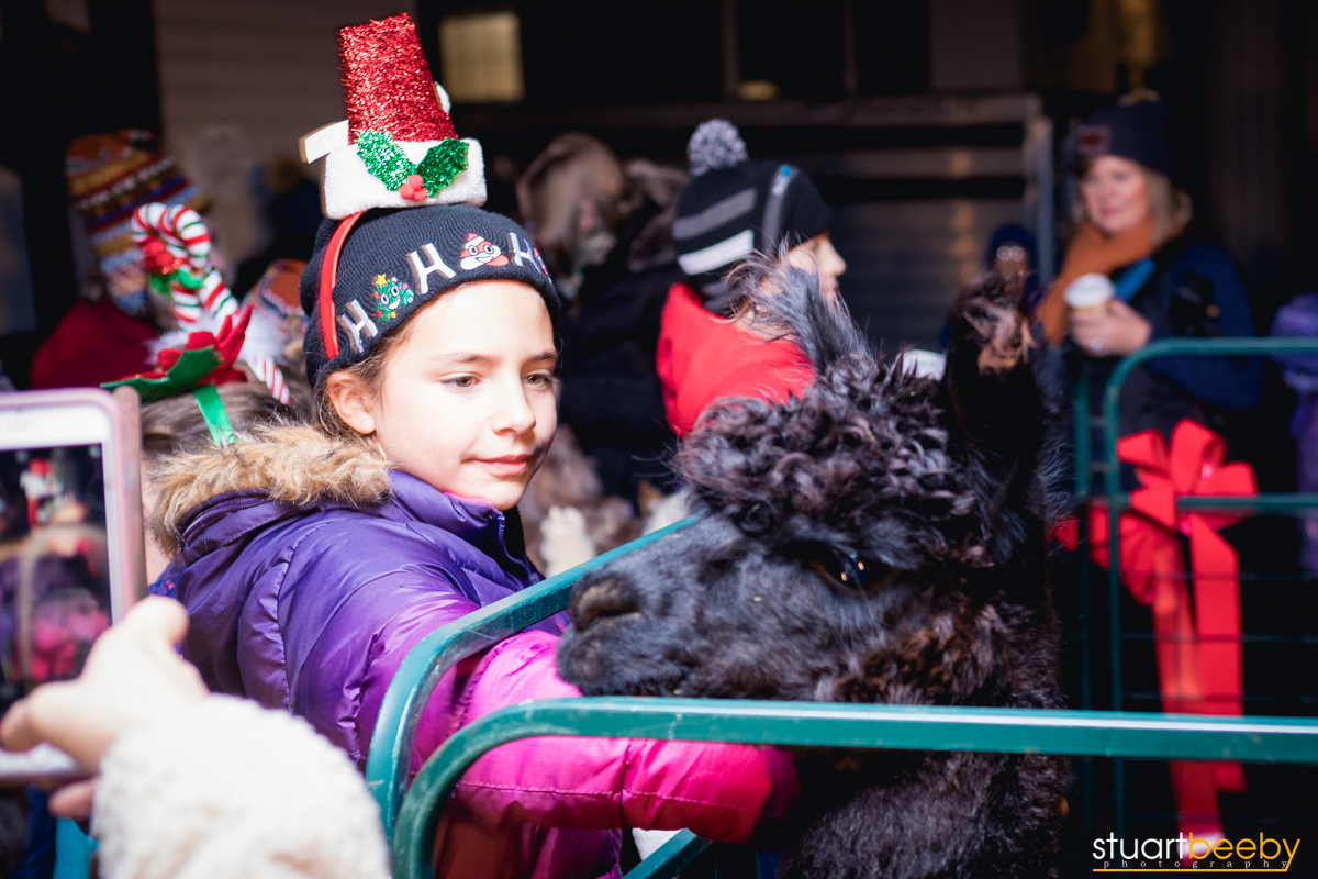 Sudbury Tree Lighting-9.jpg