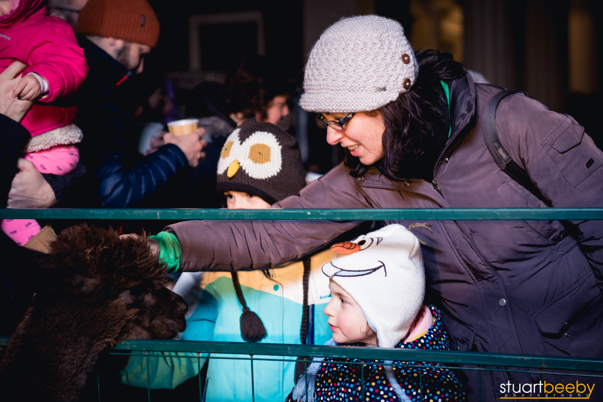 Sudbury Tree Lighting-12.jpg